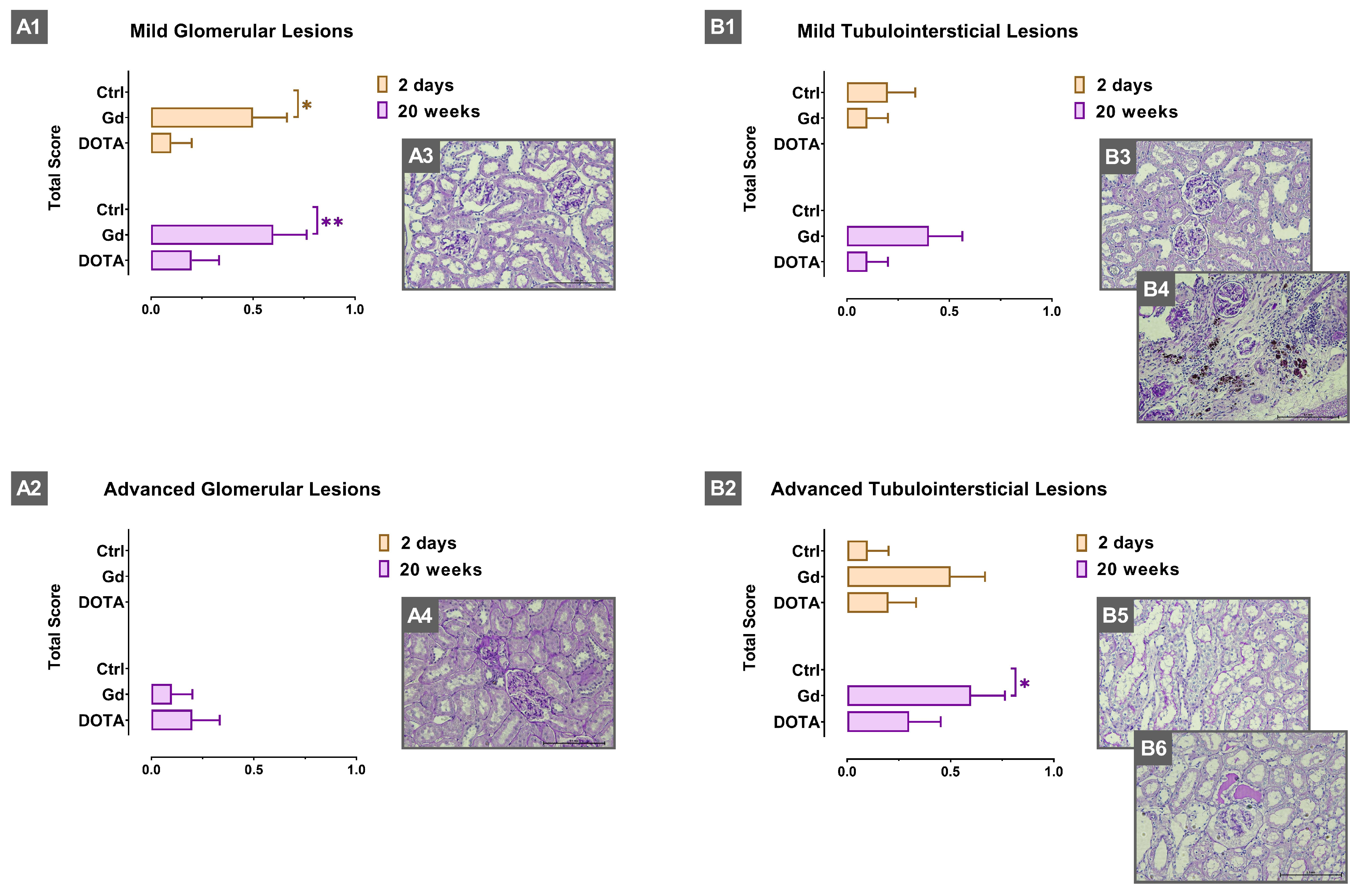 Jox 15 00034 g001 Jox 15 00034 g001