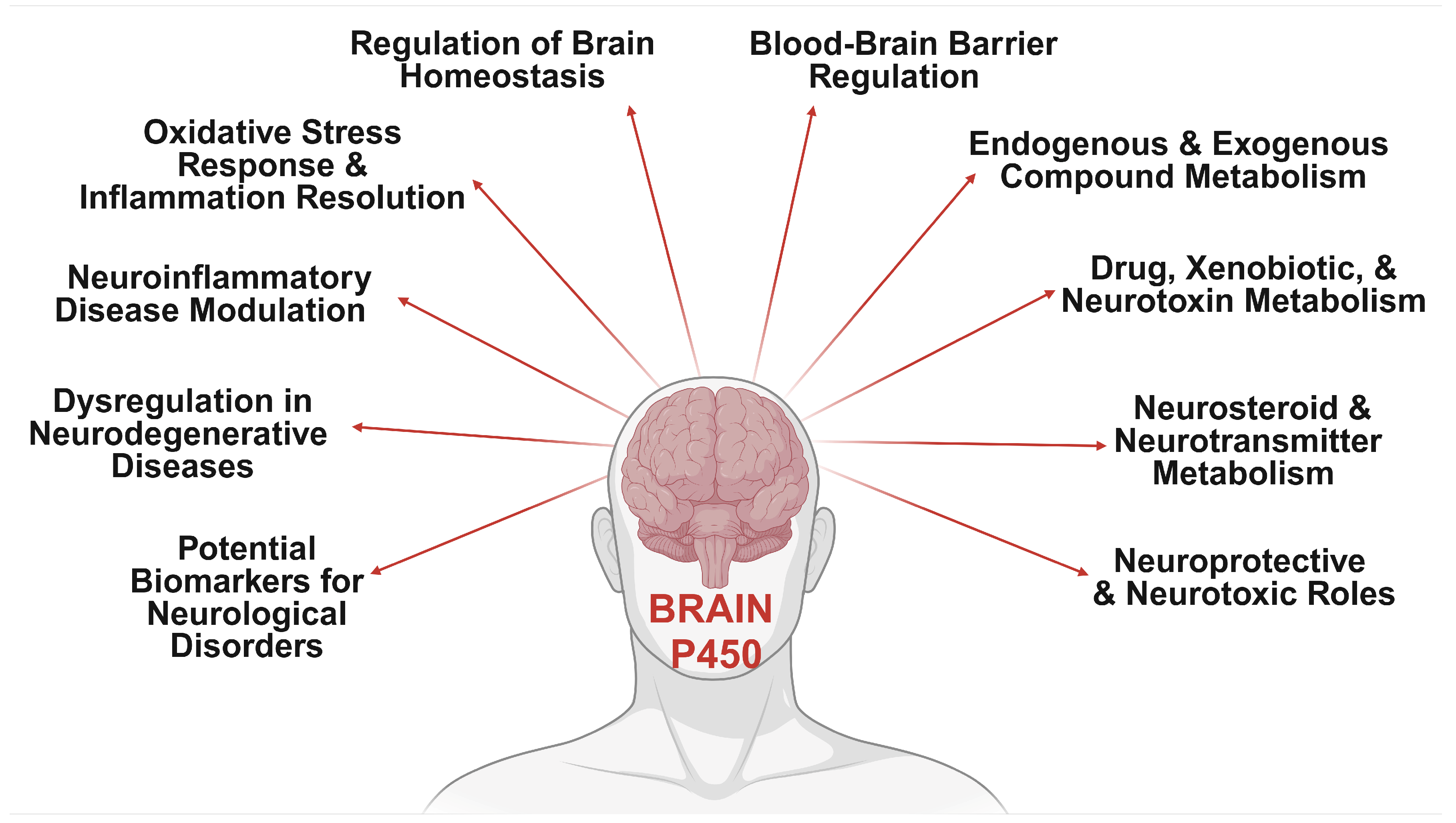 Jox 15 00044 g001 Jox 15 00044 g001