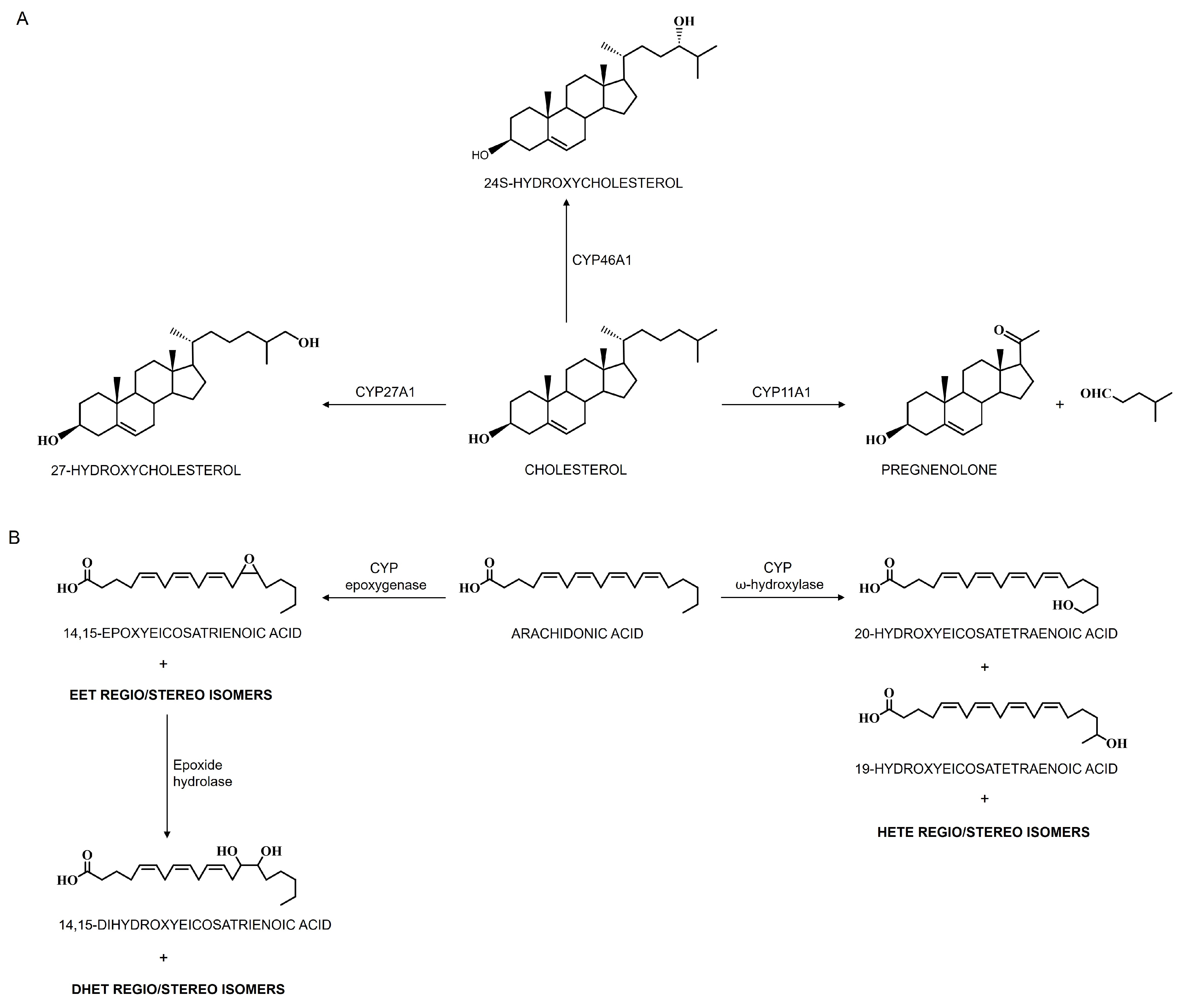 Jox 15 00044 g004 Jox 15 00044 g004
