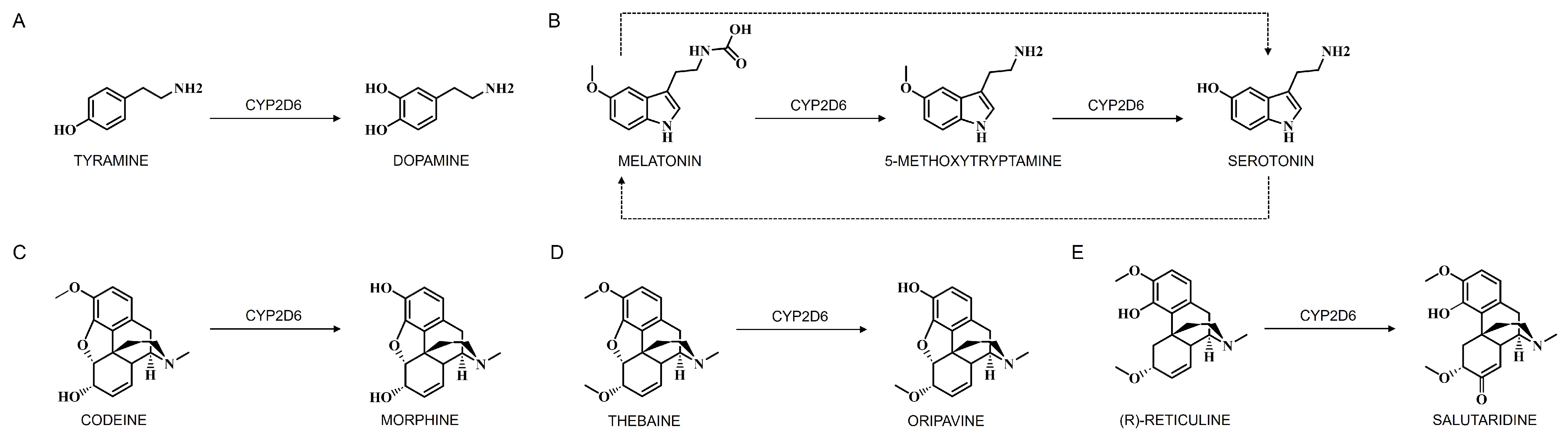 Jox 15 00044 g005 Jox 15 00044 g005