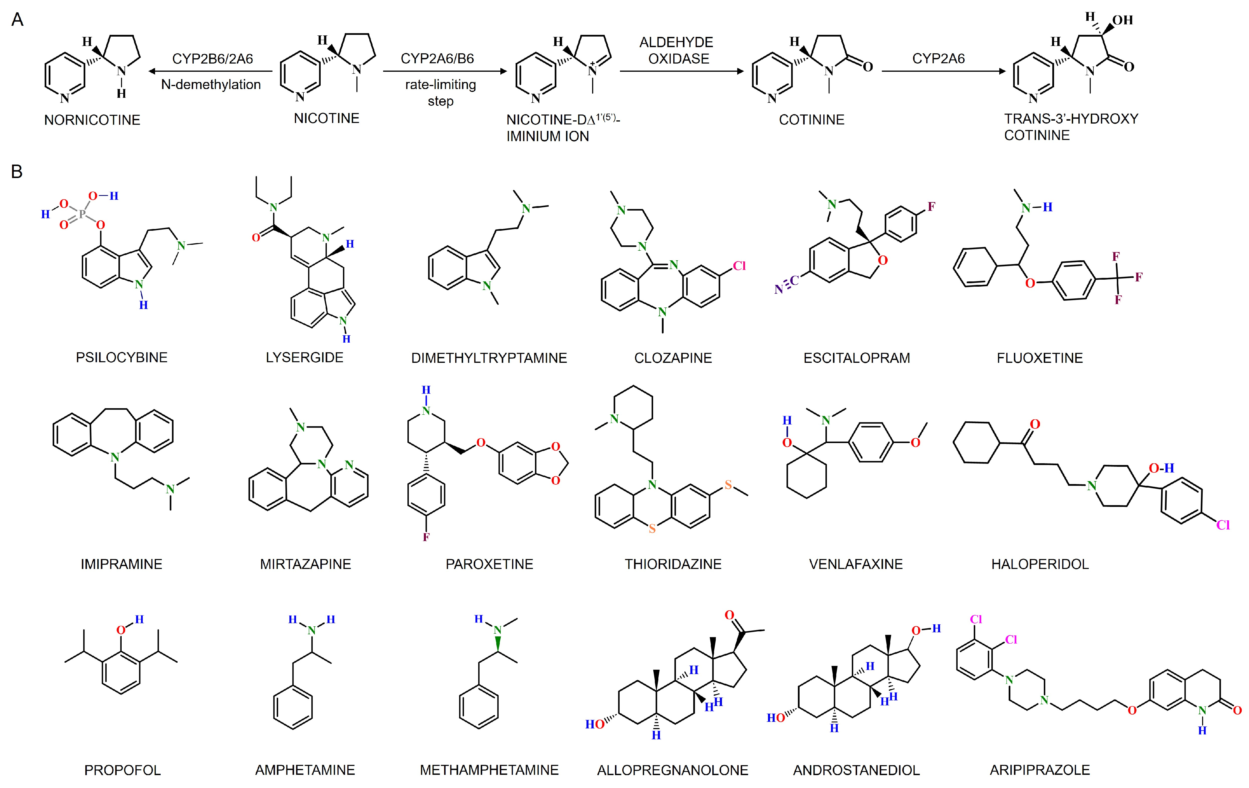 Jox 15 00044 g007 Jox 15 00044 g007