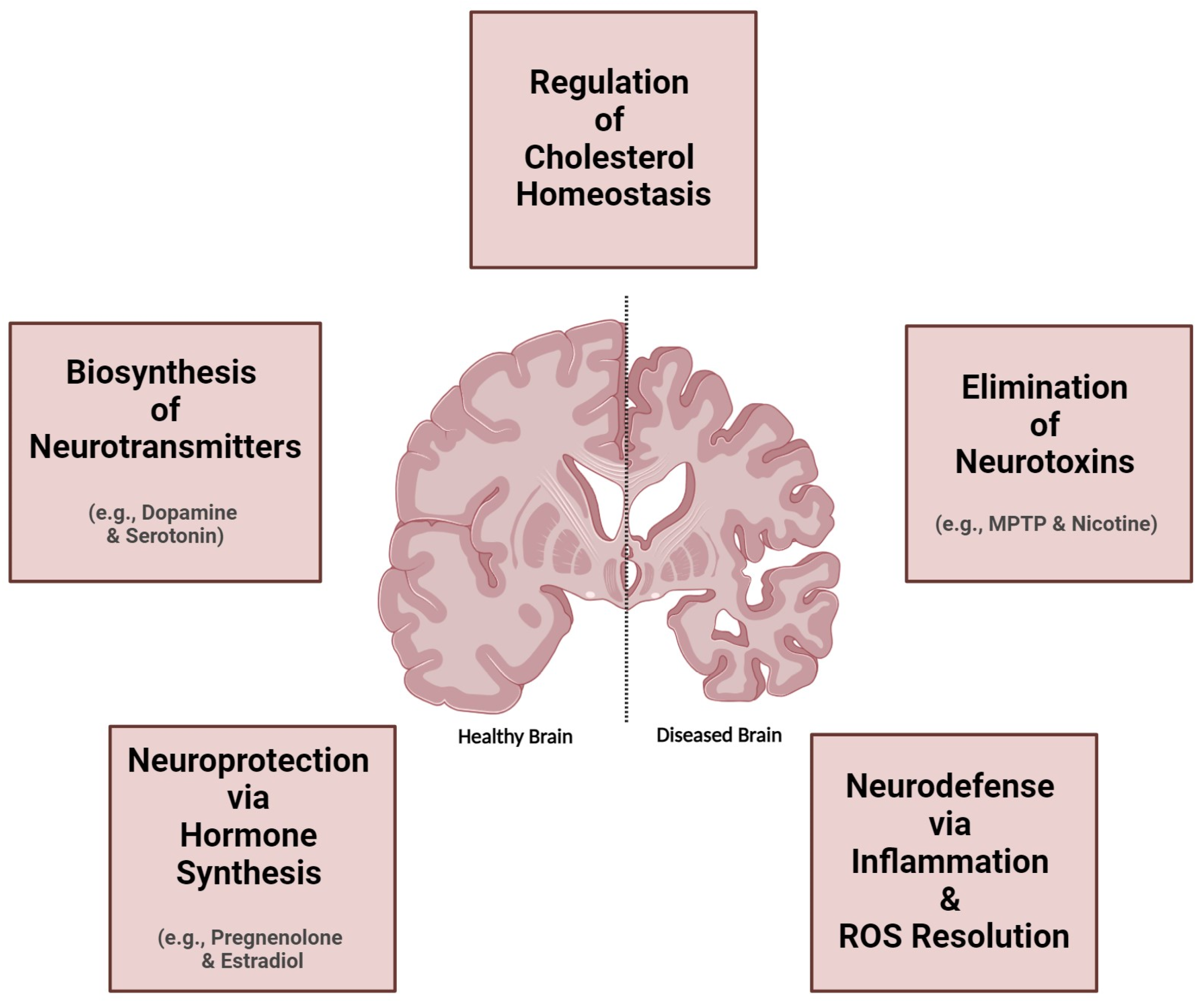 Jox 15 00044 g008 Jox 15 00044 g008
