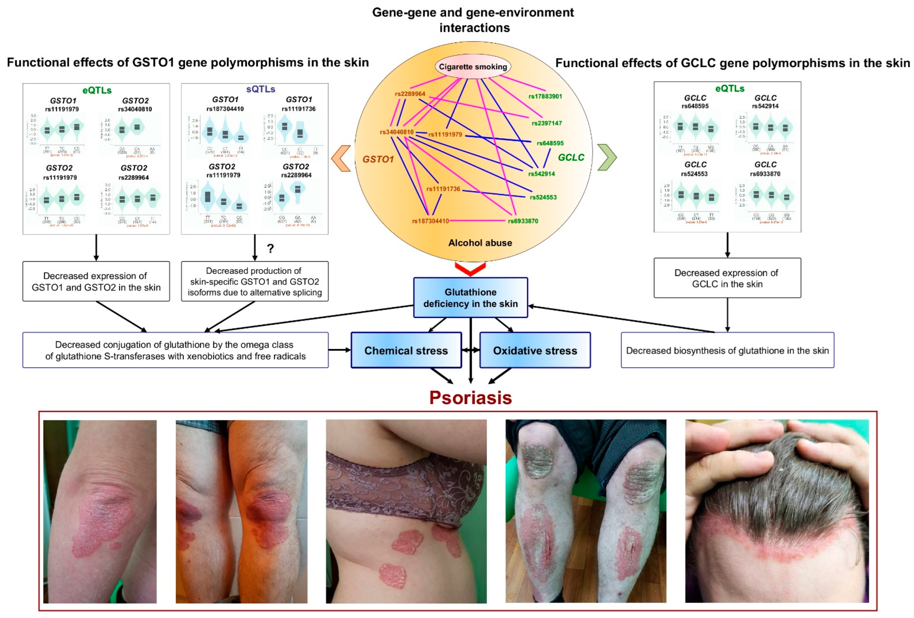 Jox 15 00060 g001 Jox 15 00060 g001