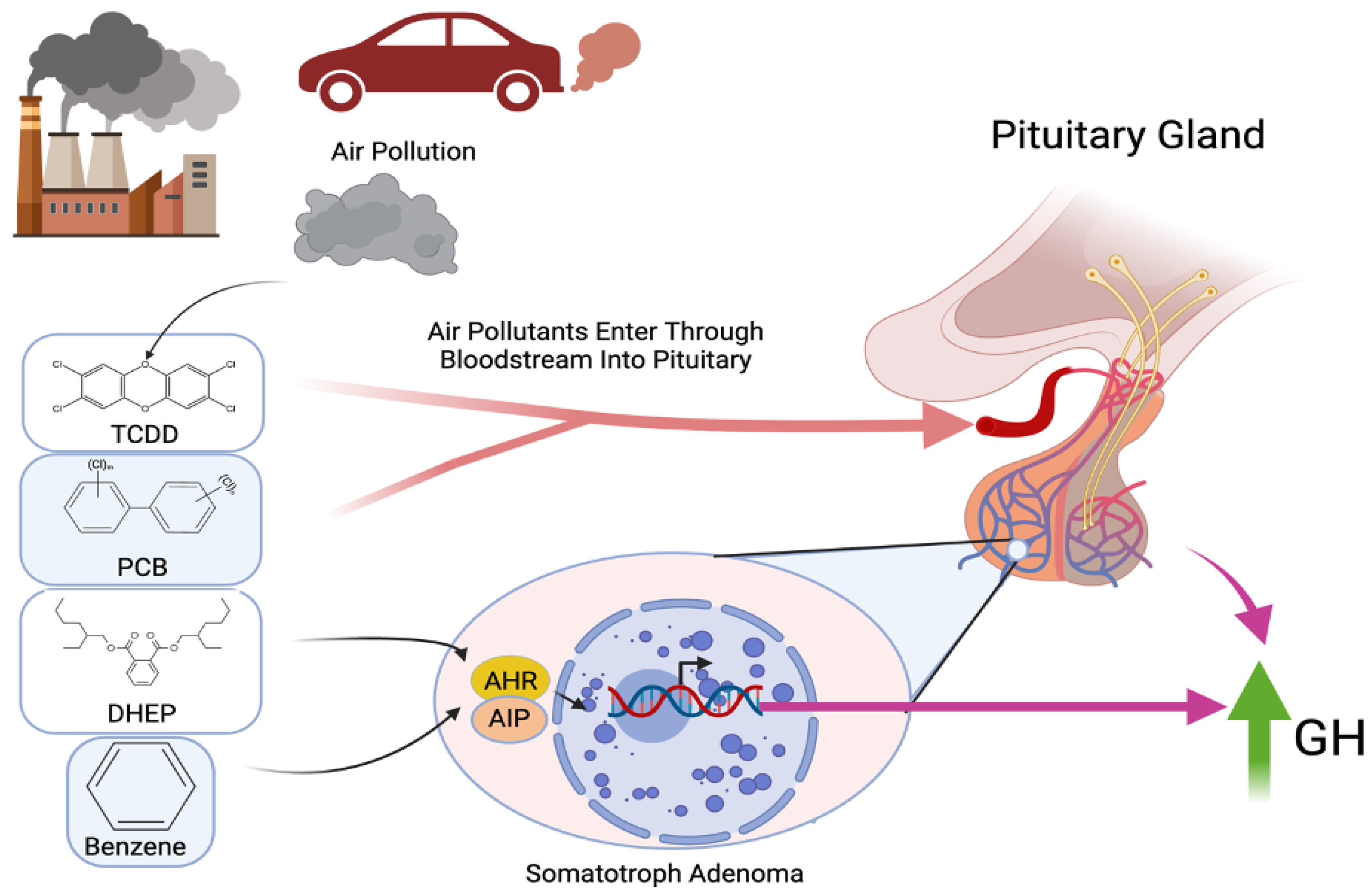 Jox 15 00071 g002 Jox 15 00071 g002