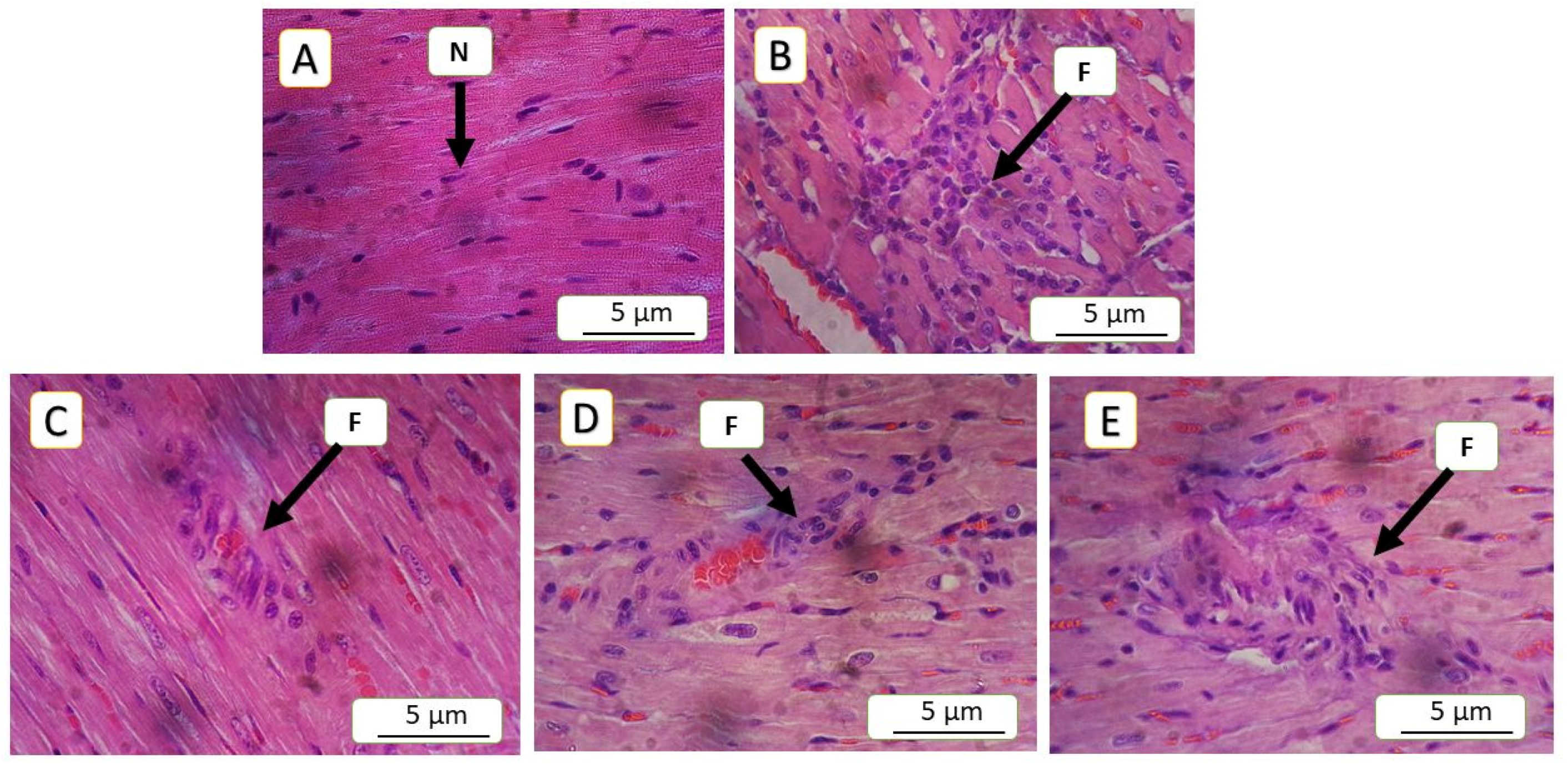 Jox 15 00130 g006 Jox 15 00130 g006