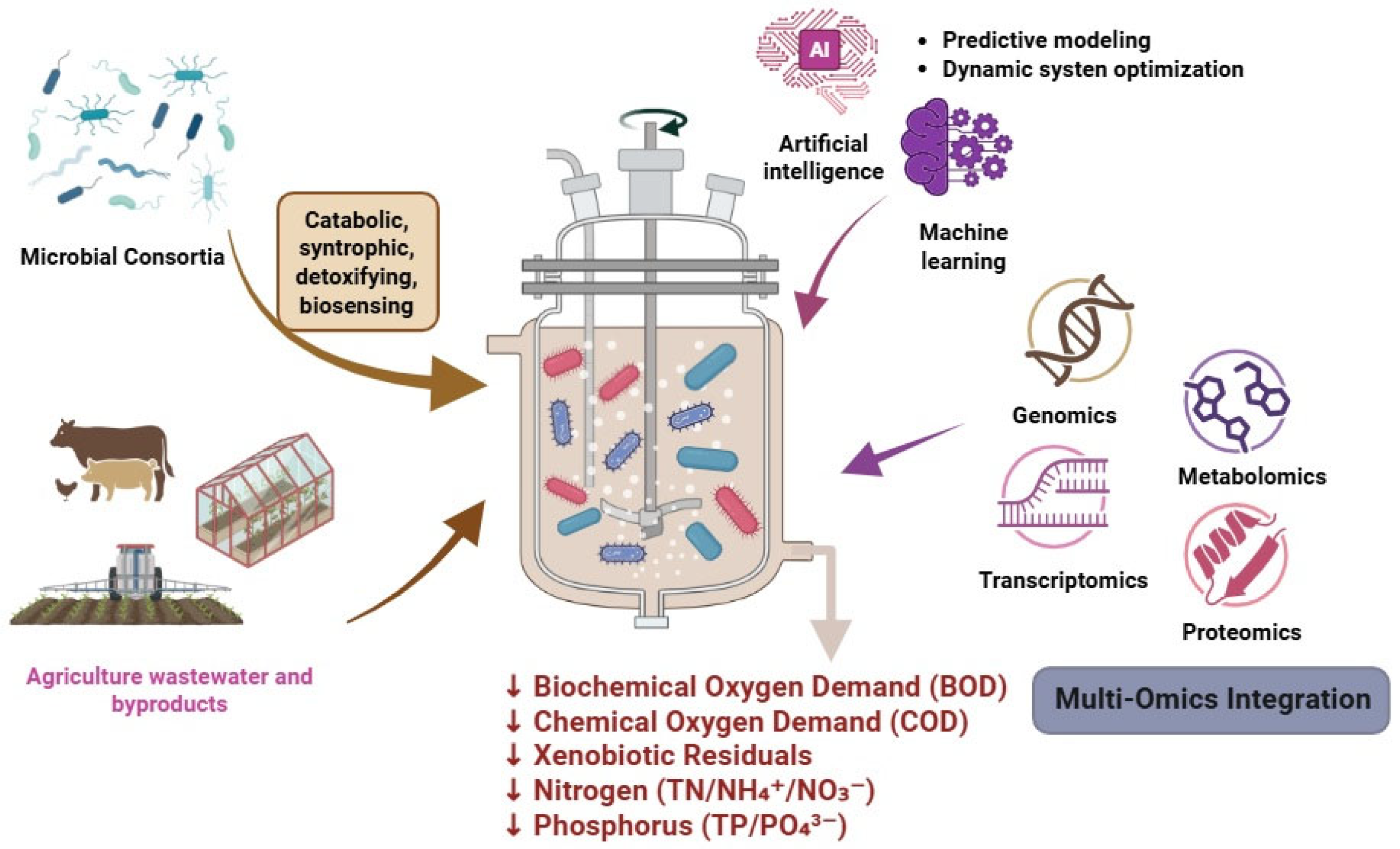 Jox 15 00133 g001 Jox 15 00133 g001