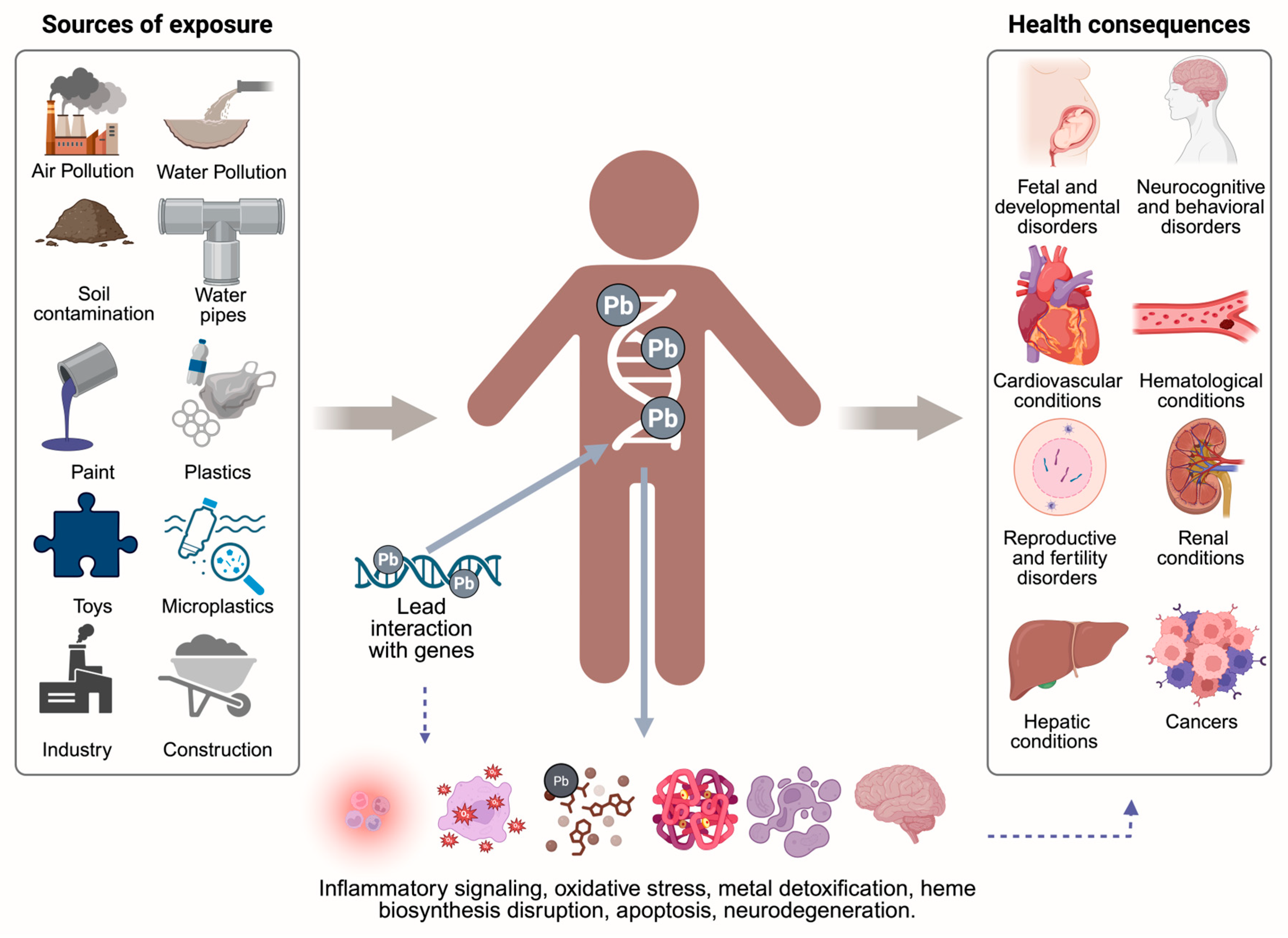 Jox 15 00134 g005 Jox 15 00134 g005