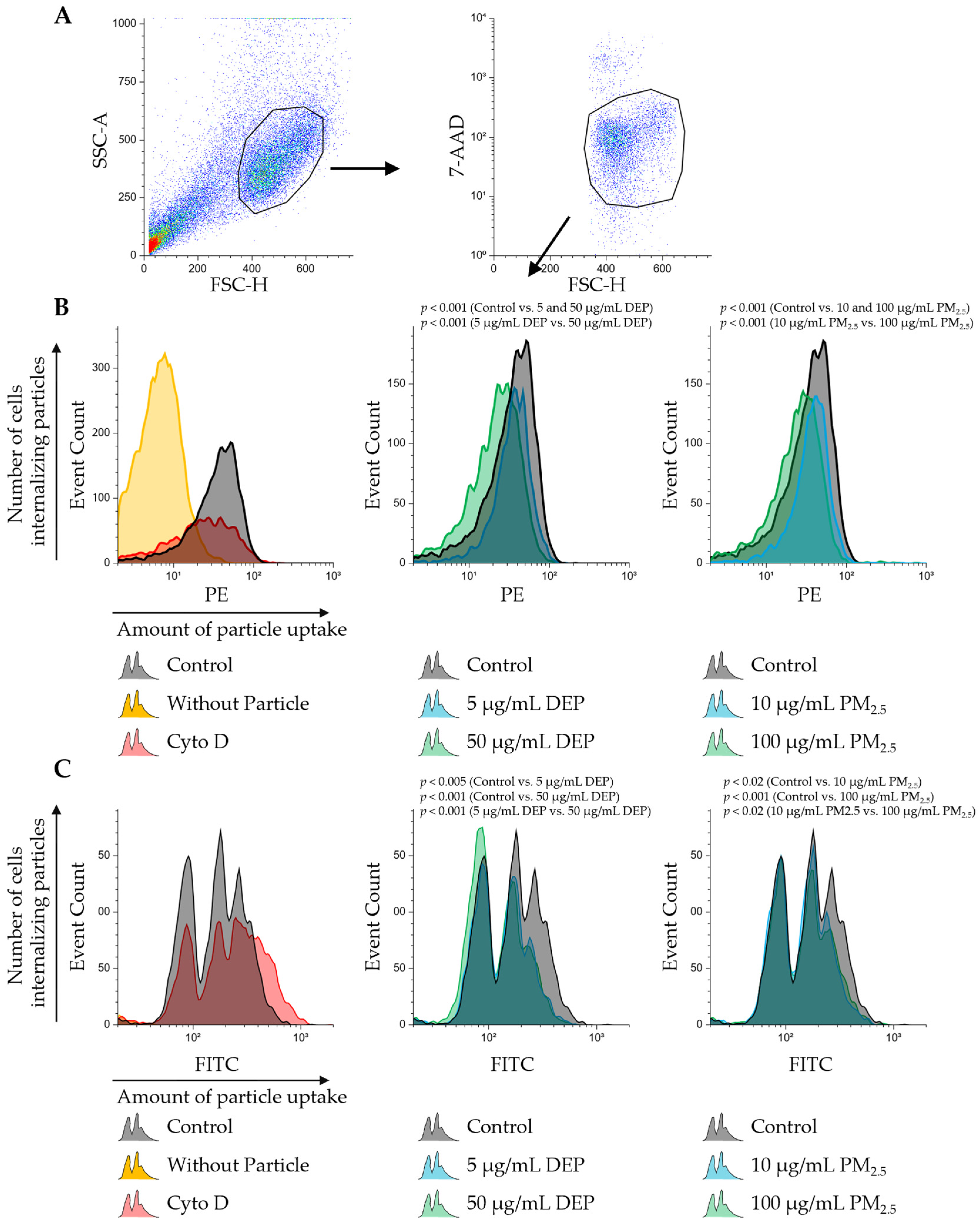 Jox 15 00142 g003 Jox 15 00142 g003