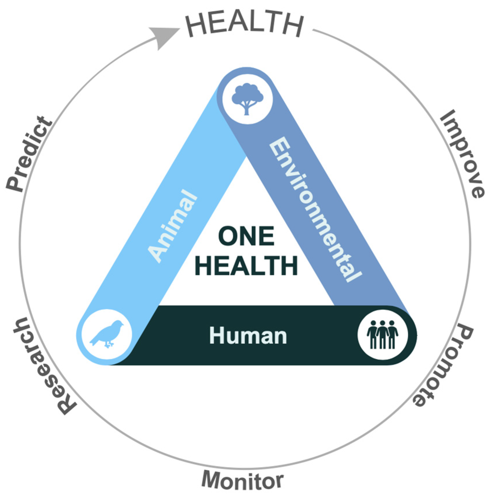 Jox 15 00148 g005 Jox 15 00148 g005