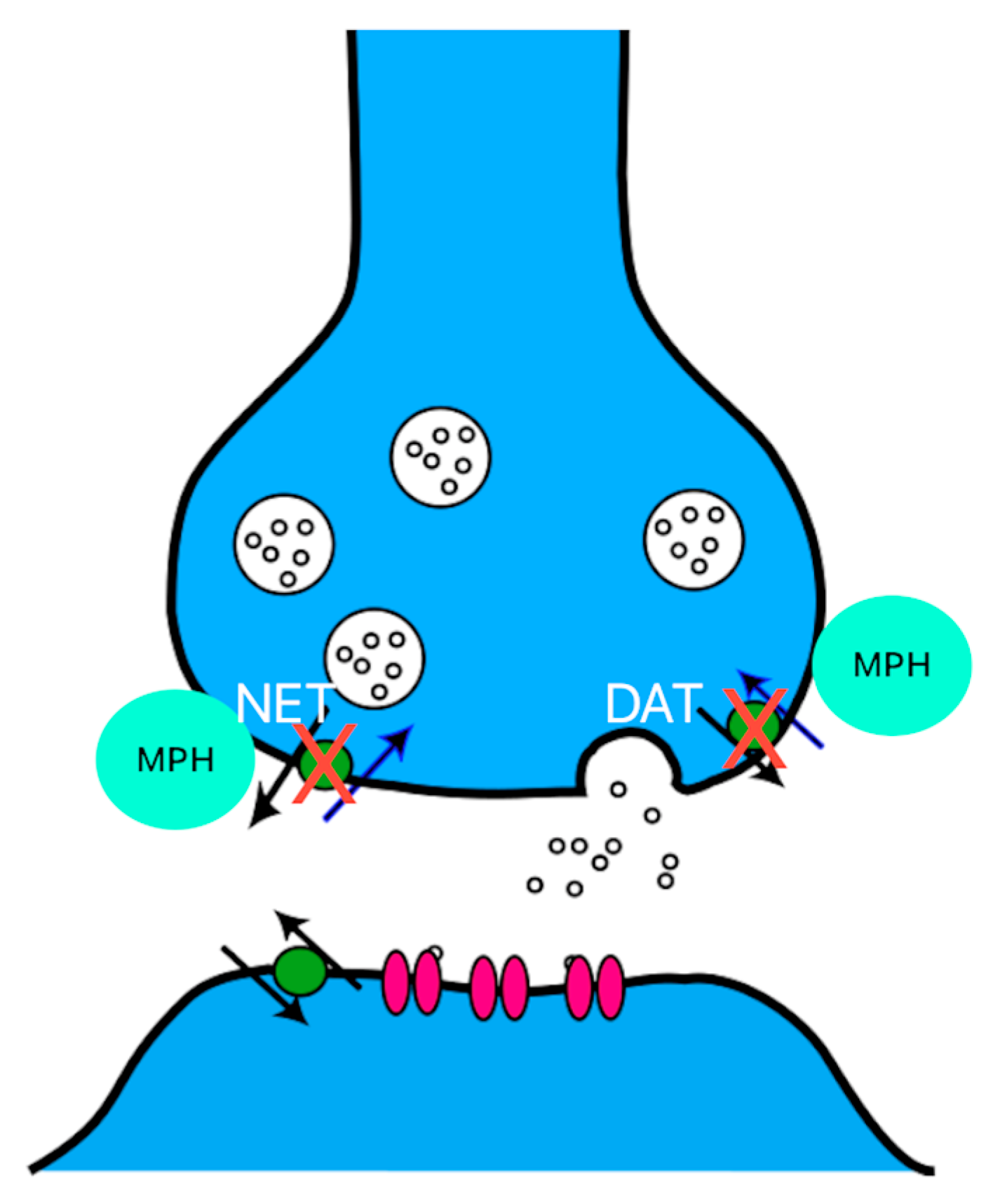 Jox 15 00157 g002 Jox 15 00157 g002