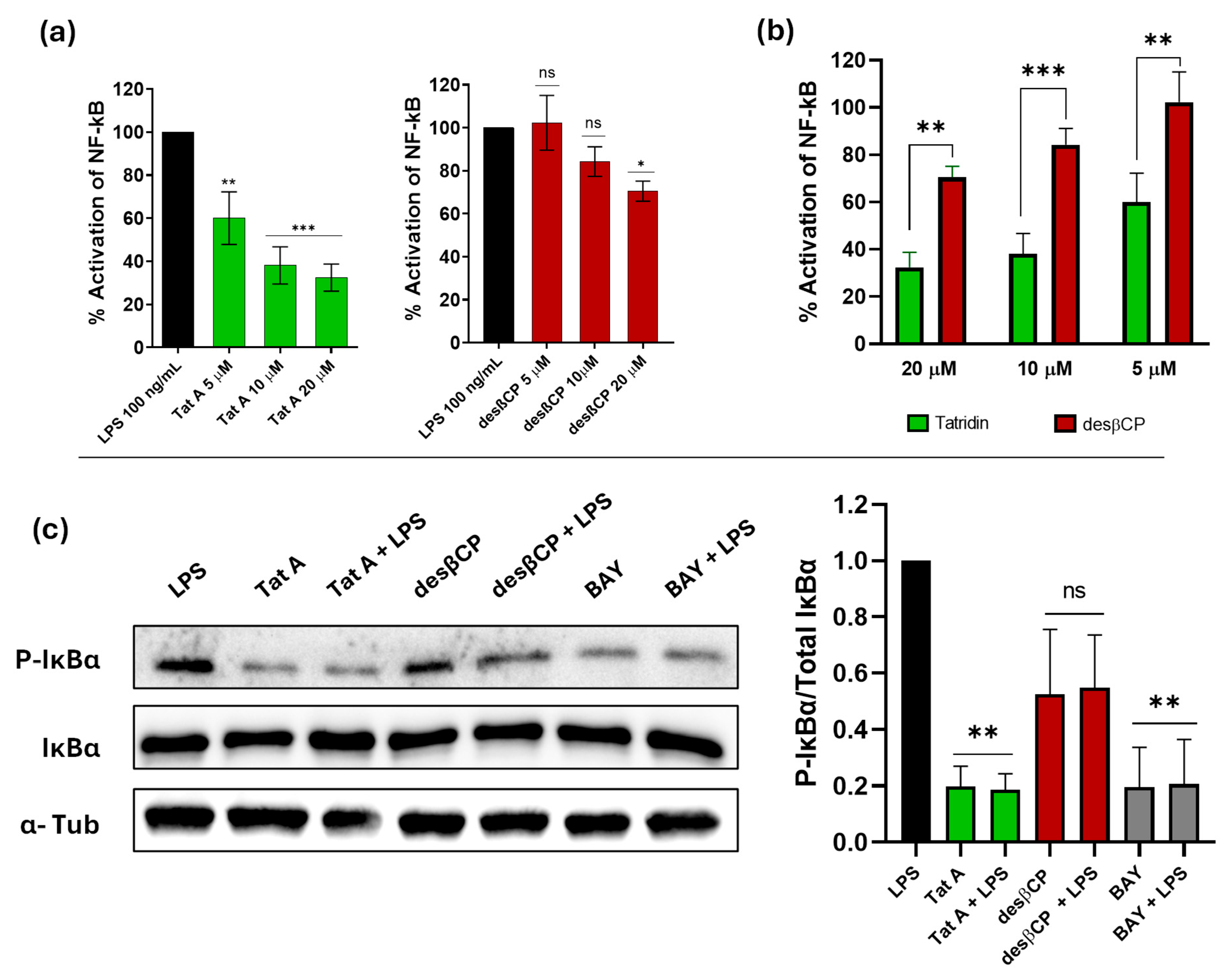 Jox 15 00161 g006 Jox 15 00161 g006
