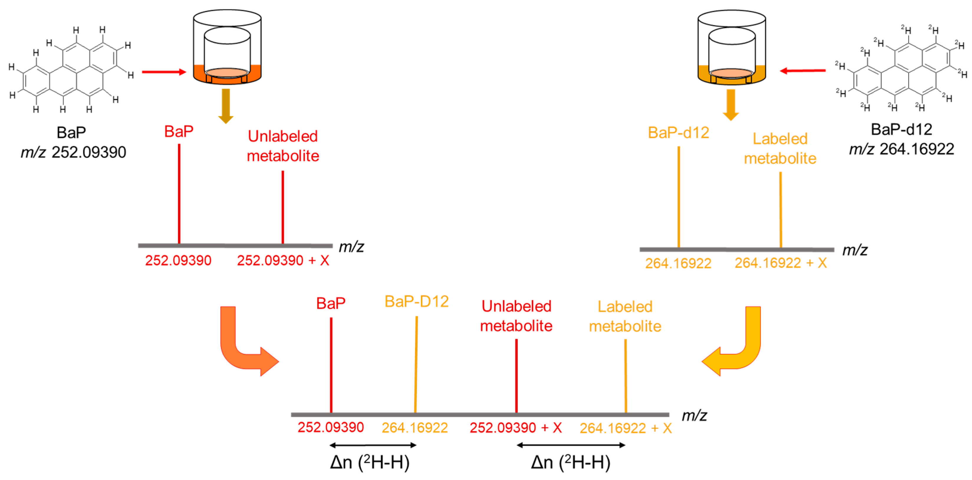 Jox 15 00163 g002 Jox 15 00163 g002