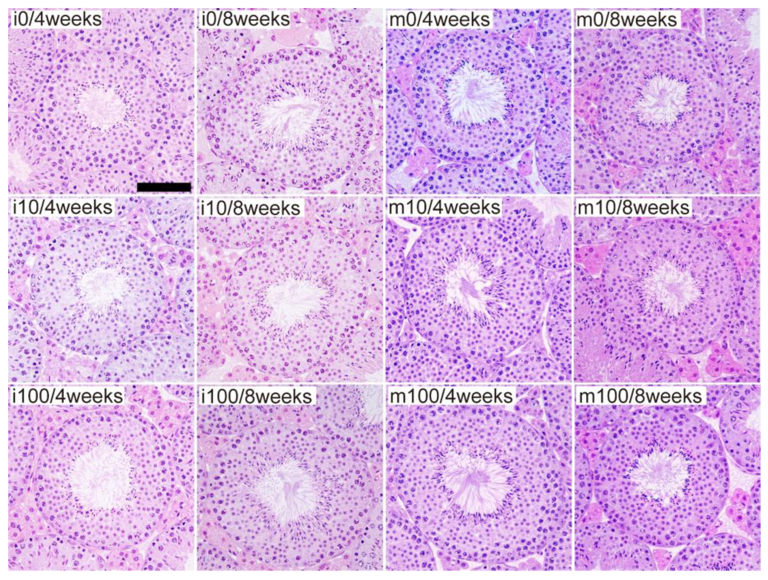 Jox 15 00189 g002 Jox 15 00189 g002