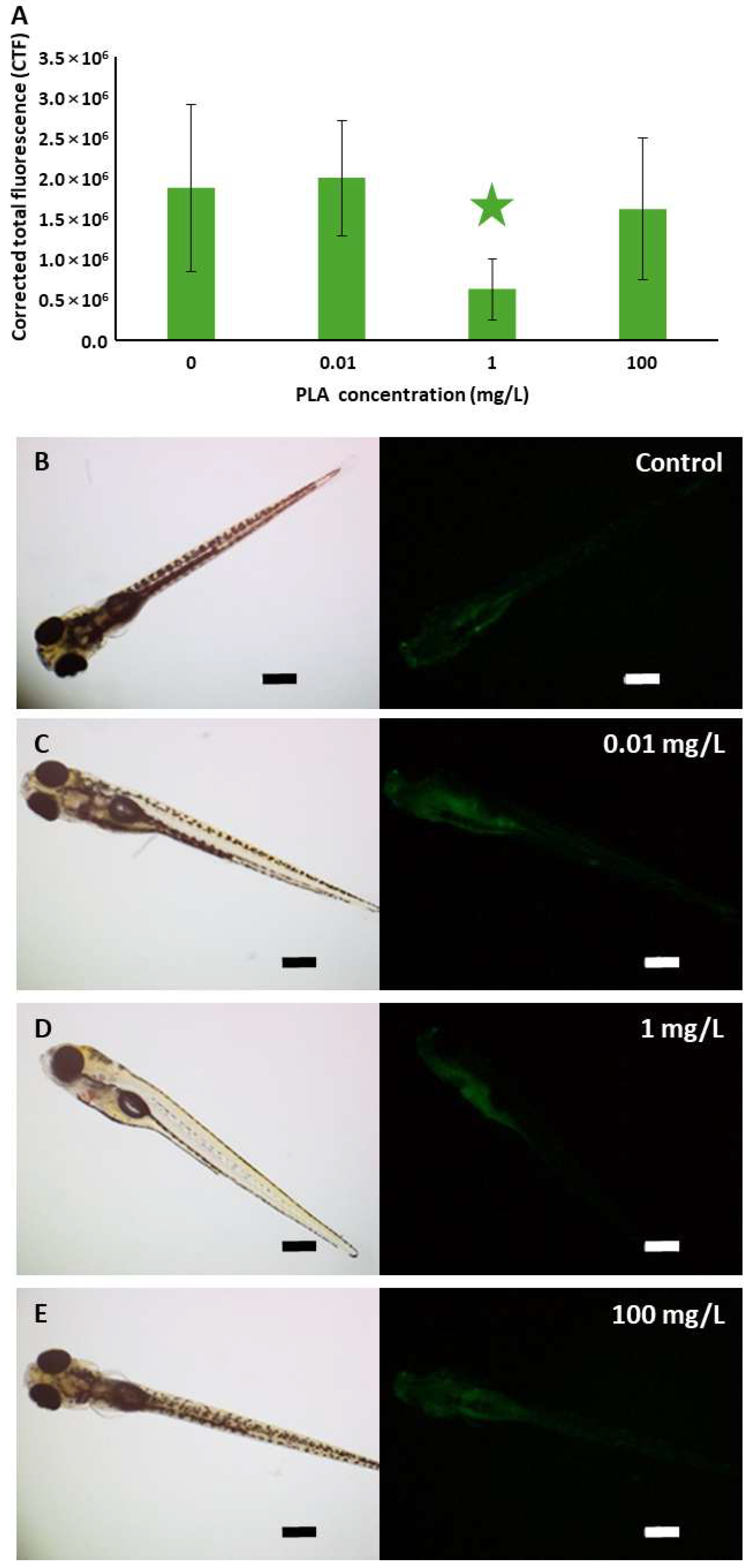 Jox 15 00196 g007 Jox 15 00196 g007