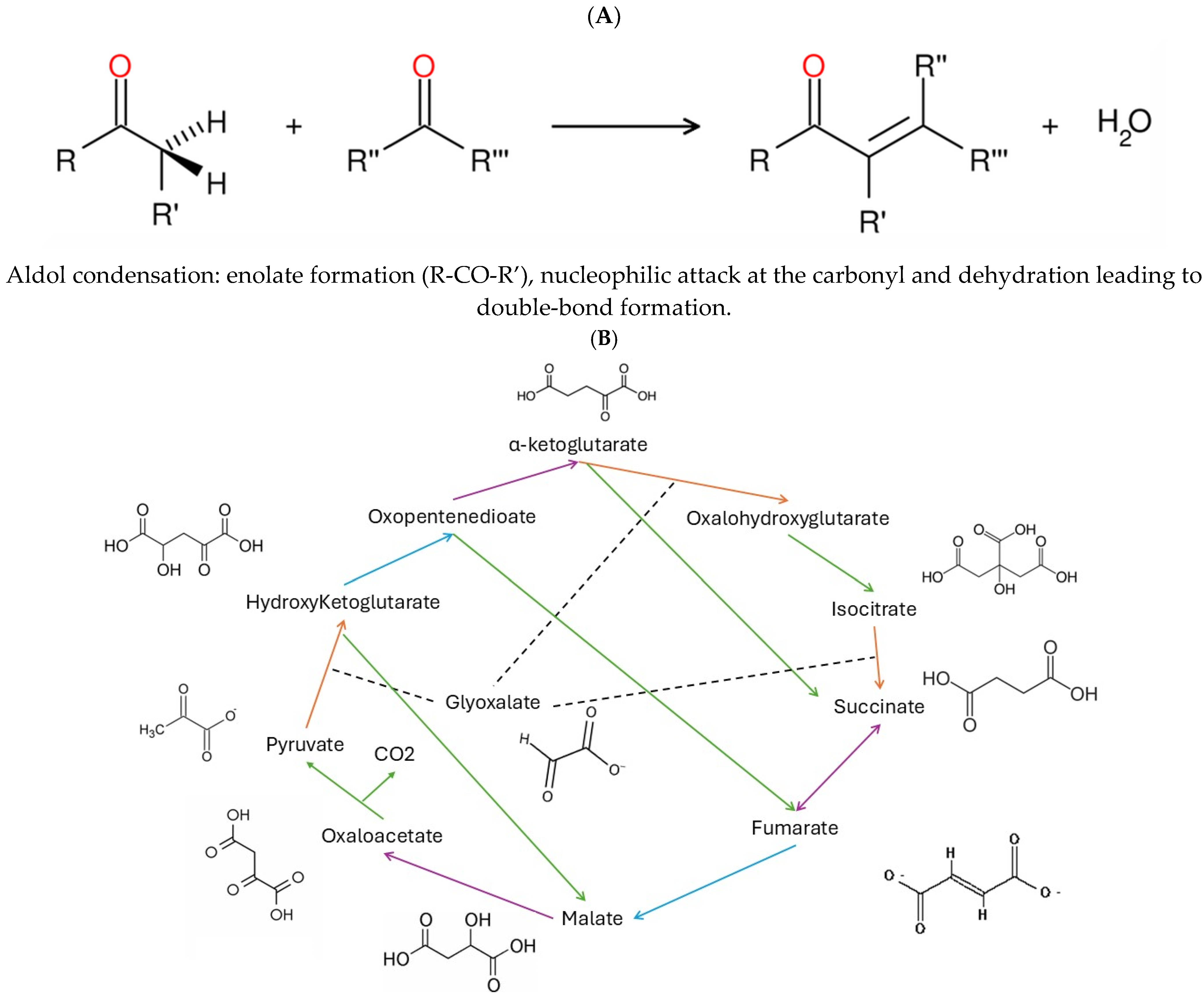 Jox 15 00198 g001 Jox 15 00198 g001