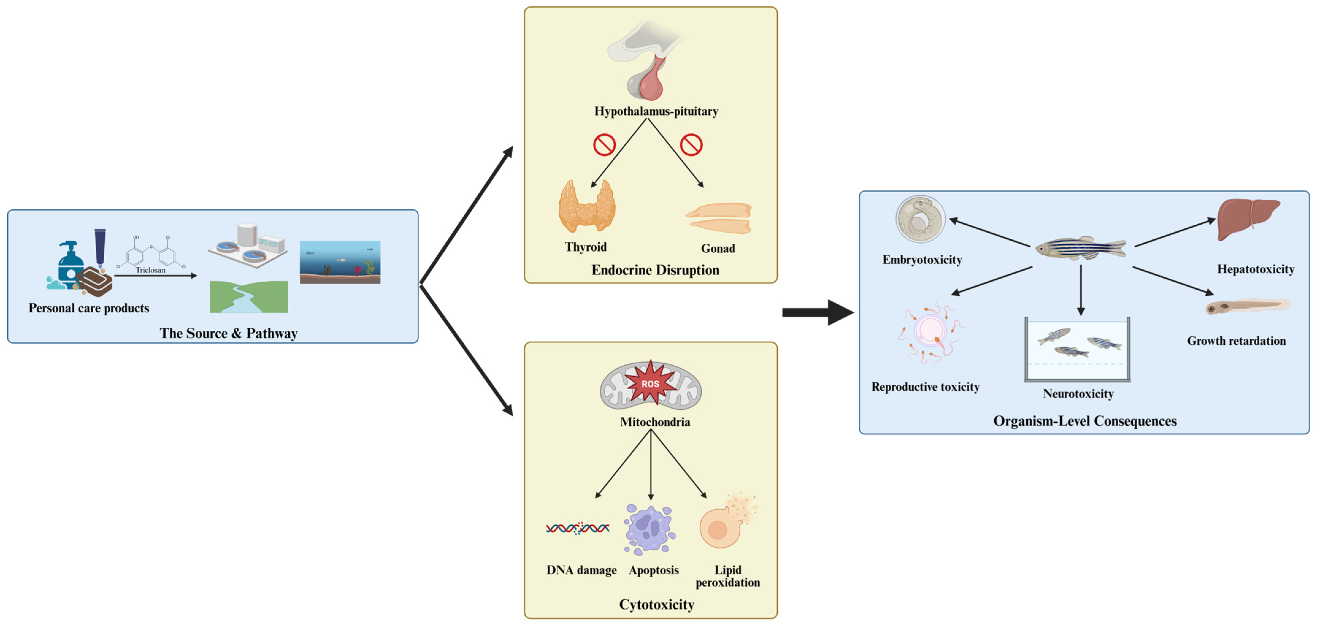 Jox 15 00204 g001 Jox 15 00204 g001
