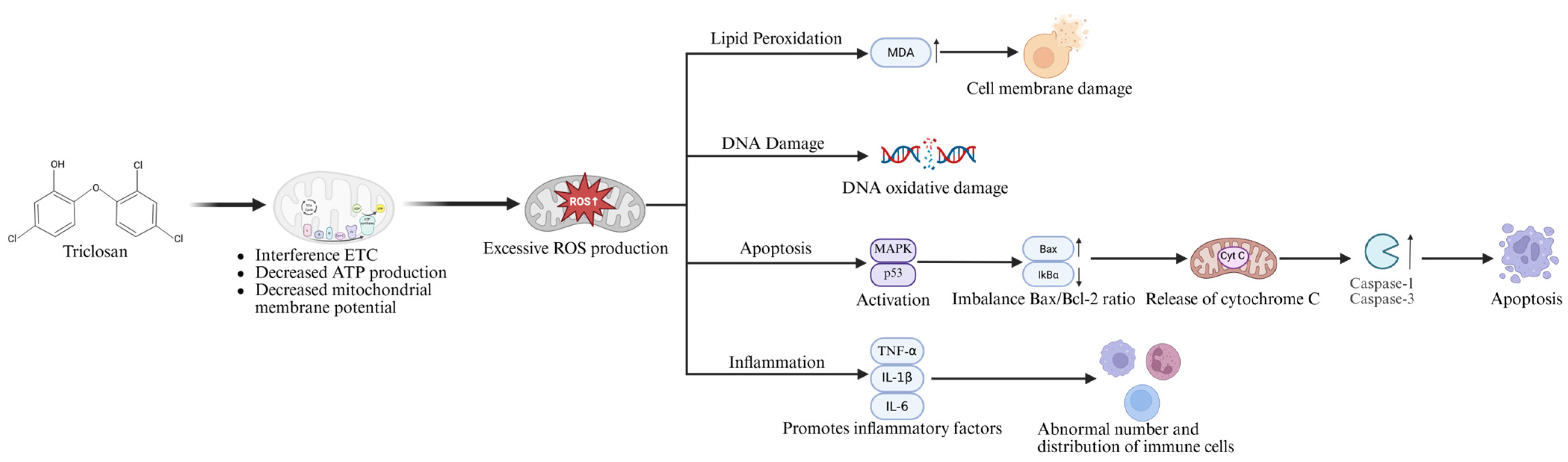 Jox 15 00204 g003 Jox 15 00204 g003