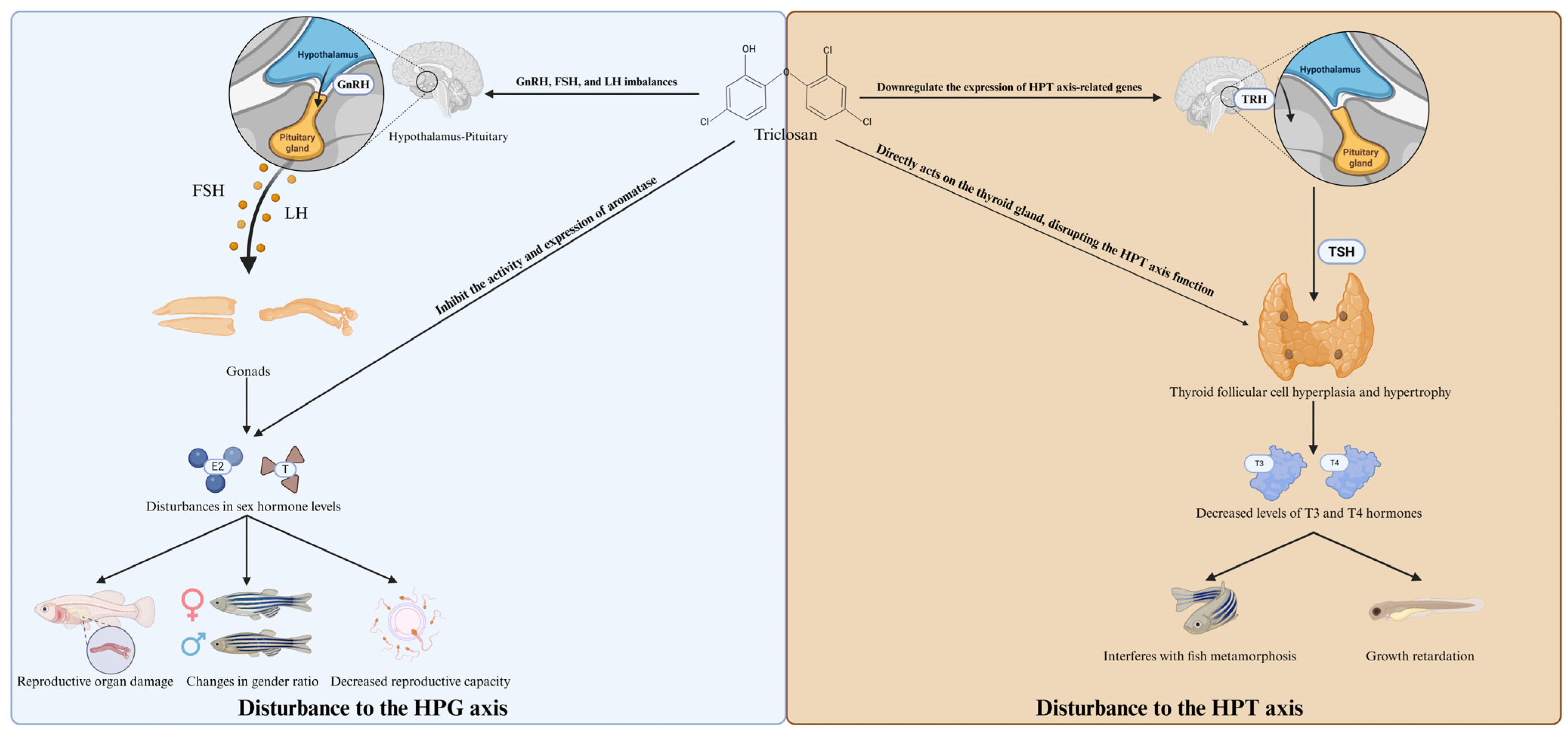 Jox 15 00204 g004 Jox 15 00204 g004