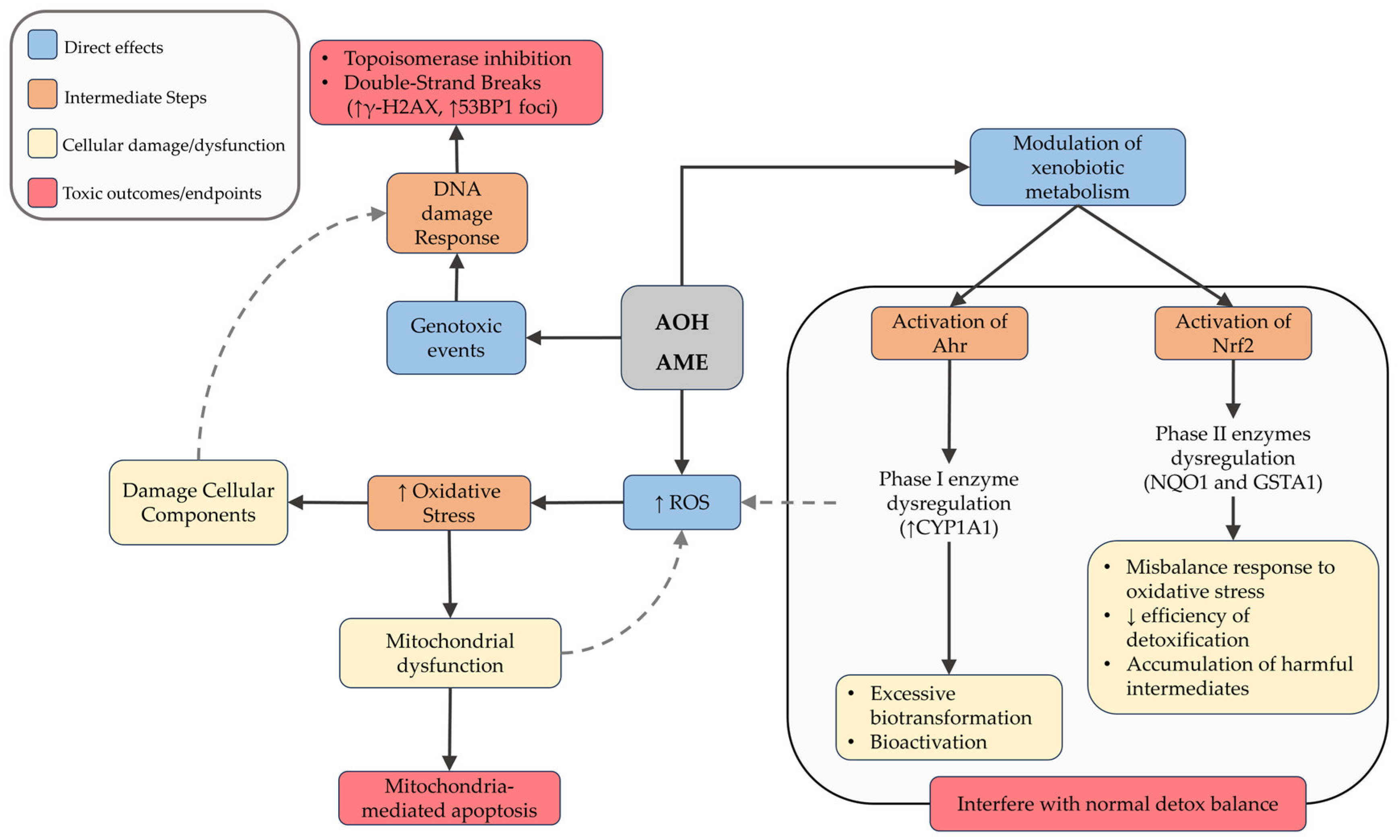 Jox 15 00205 g003 Jox 15 00205 g003