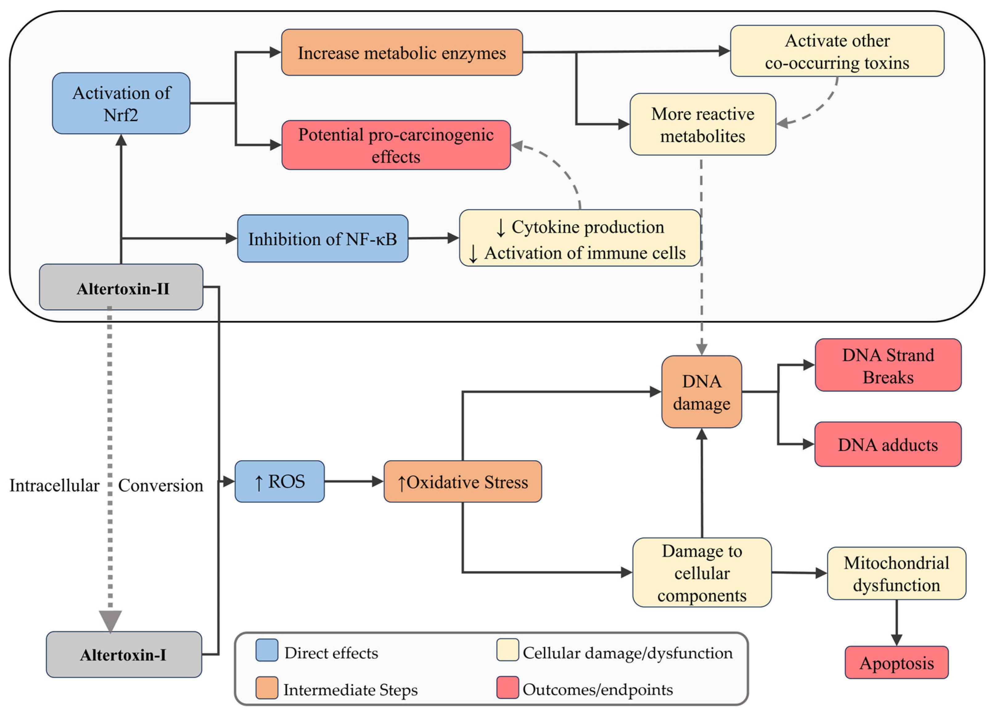 Jox 15 00205 g005 Jox 15 00205 g005