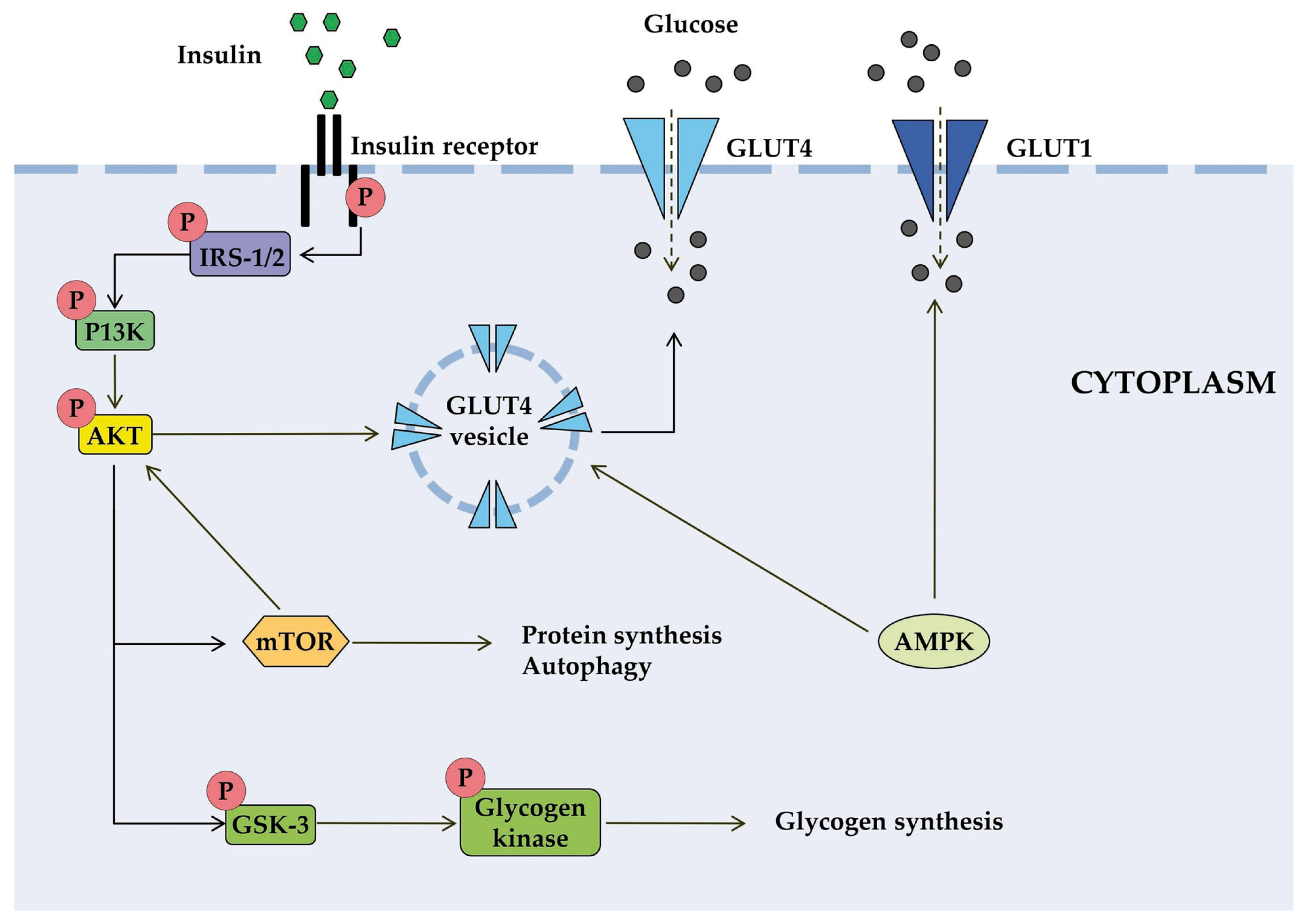 Jox 15 00206 g001 Jox 15 00206 g001