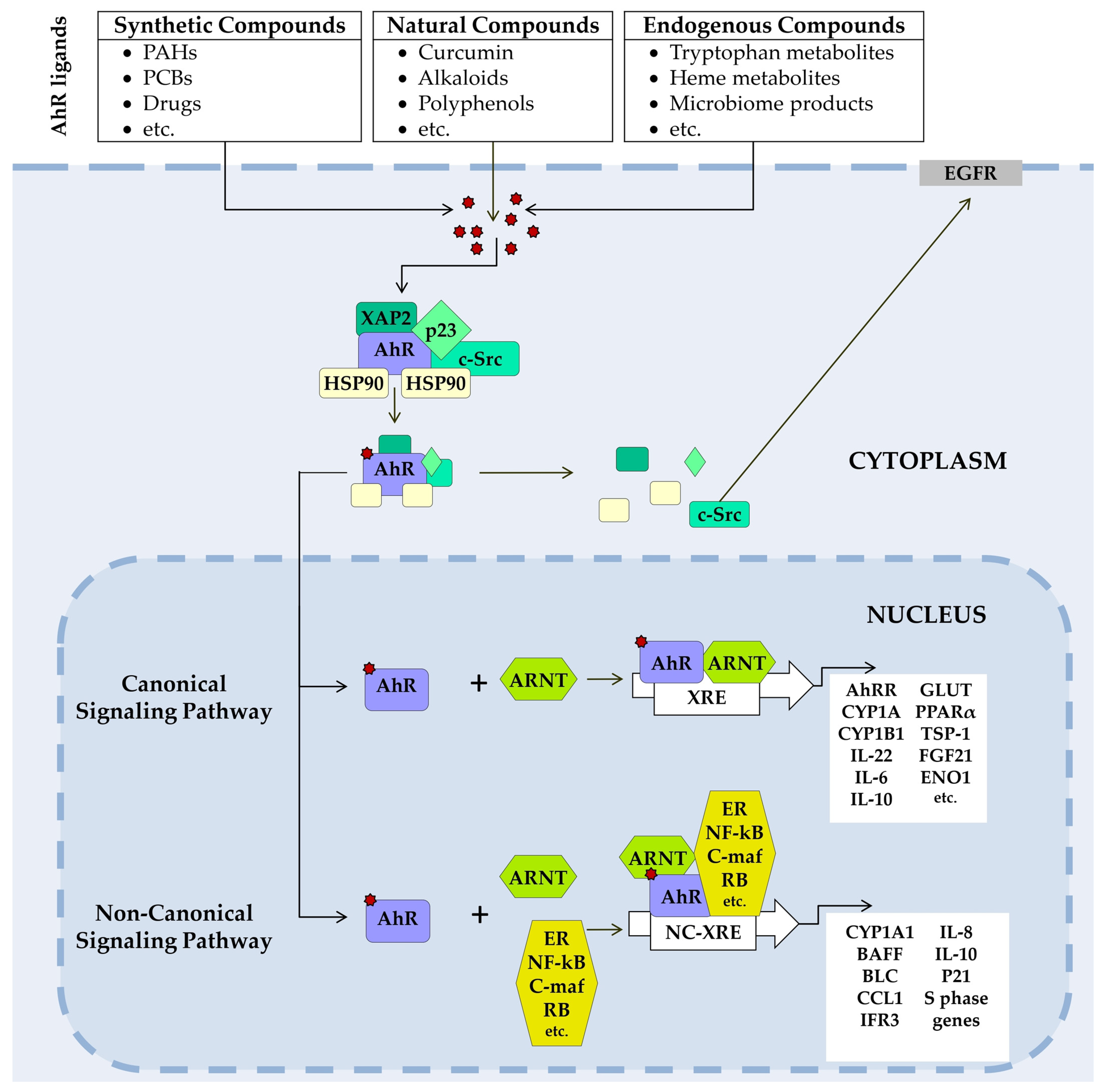 Jox 15 00206 g002 Jox 15 00206 g002