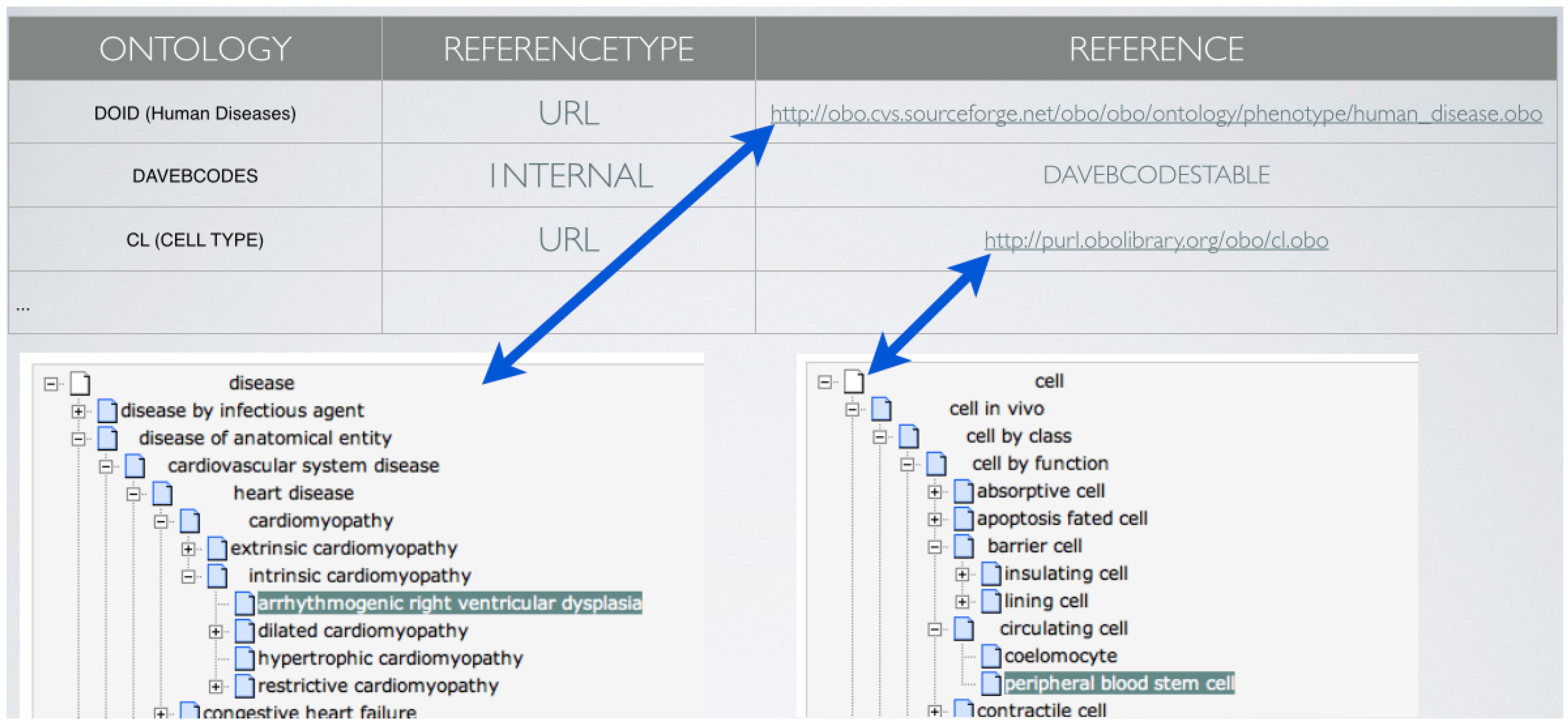 Jpm 05 00107 g004 1024