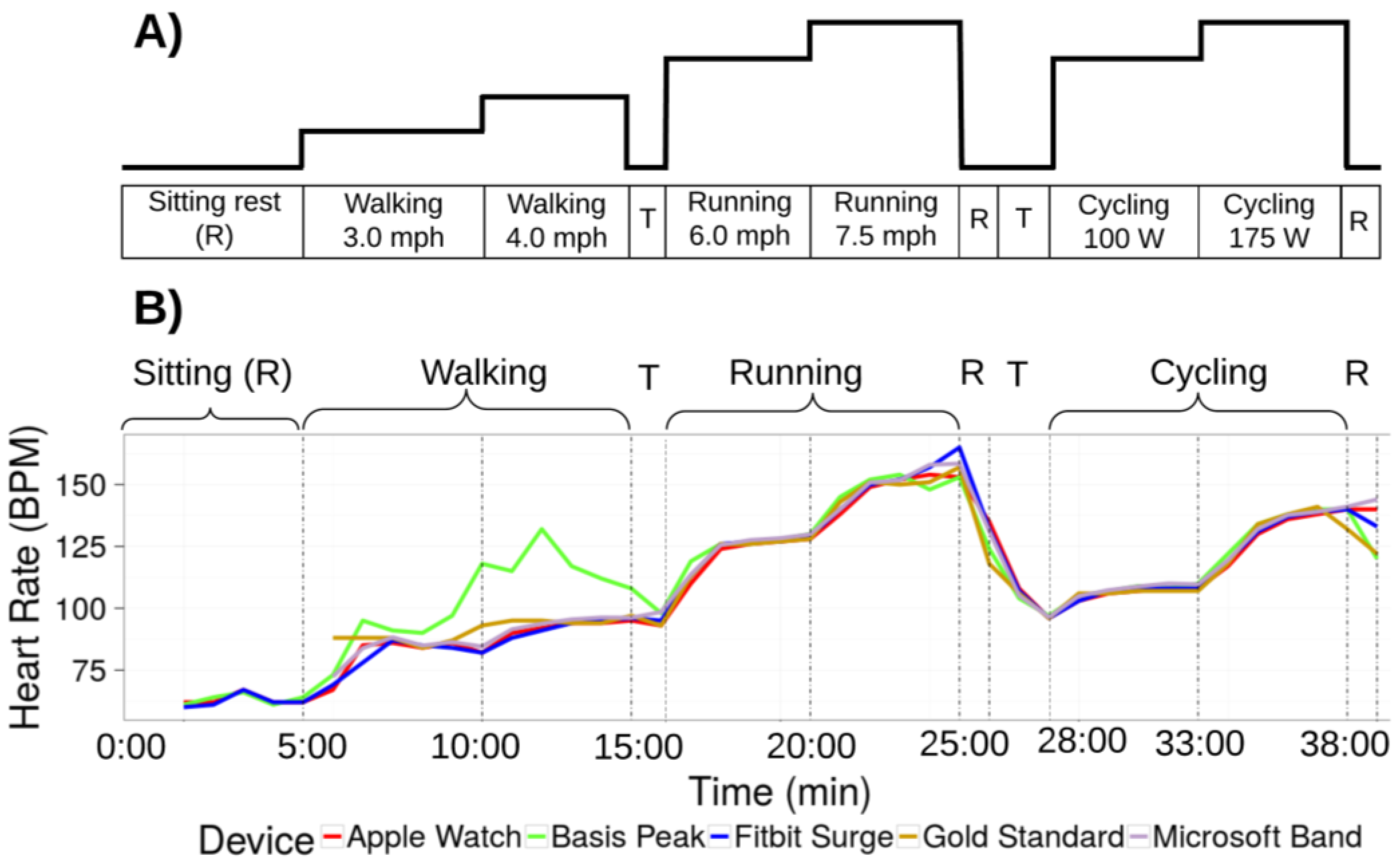 JPM Free Full-Text Accuracy in Wrist-Worn, Sensor-Based Measurements of Heart Rate and Energy Expenditure in a Diverse Cohort