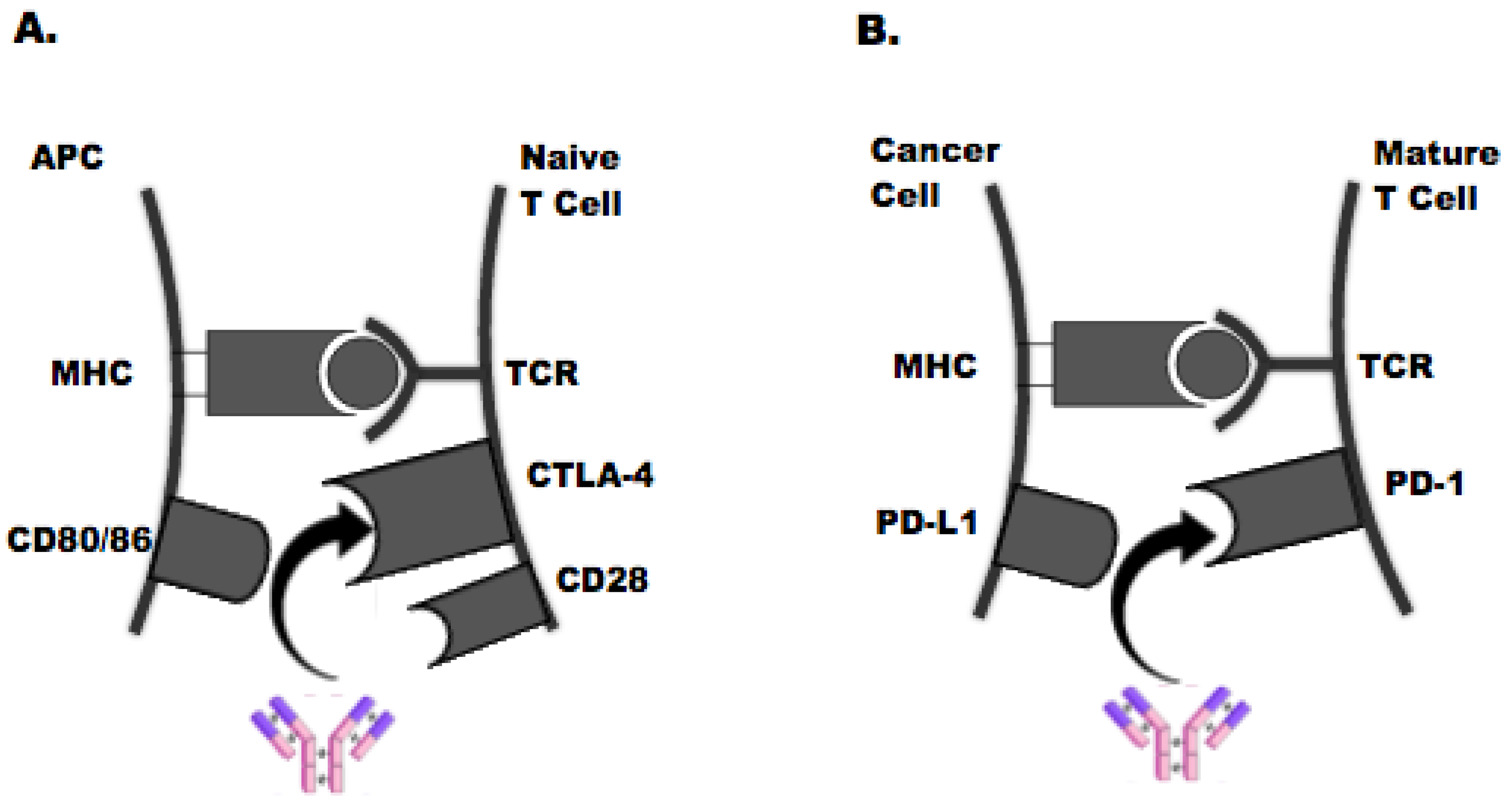 Jpm 09 00005 g001 Jpm 09 00005 g001