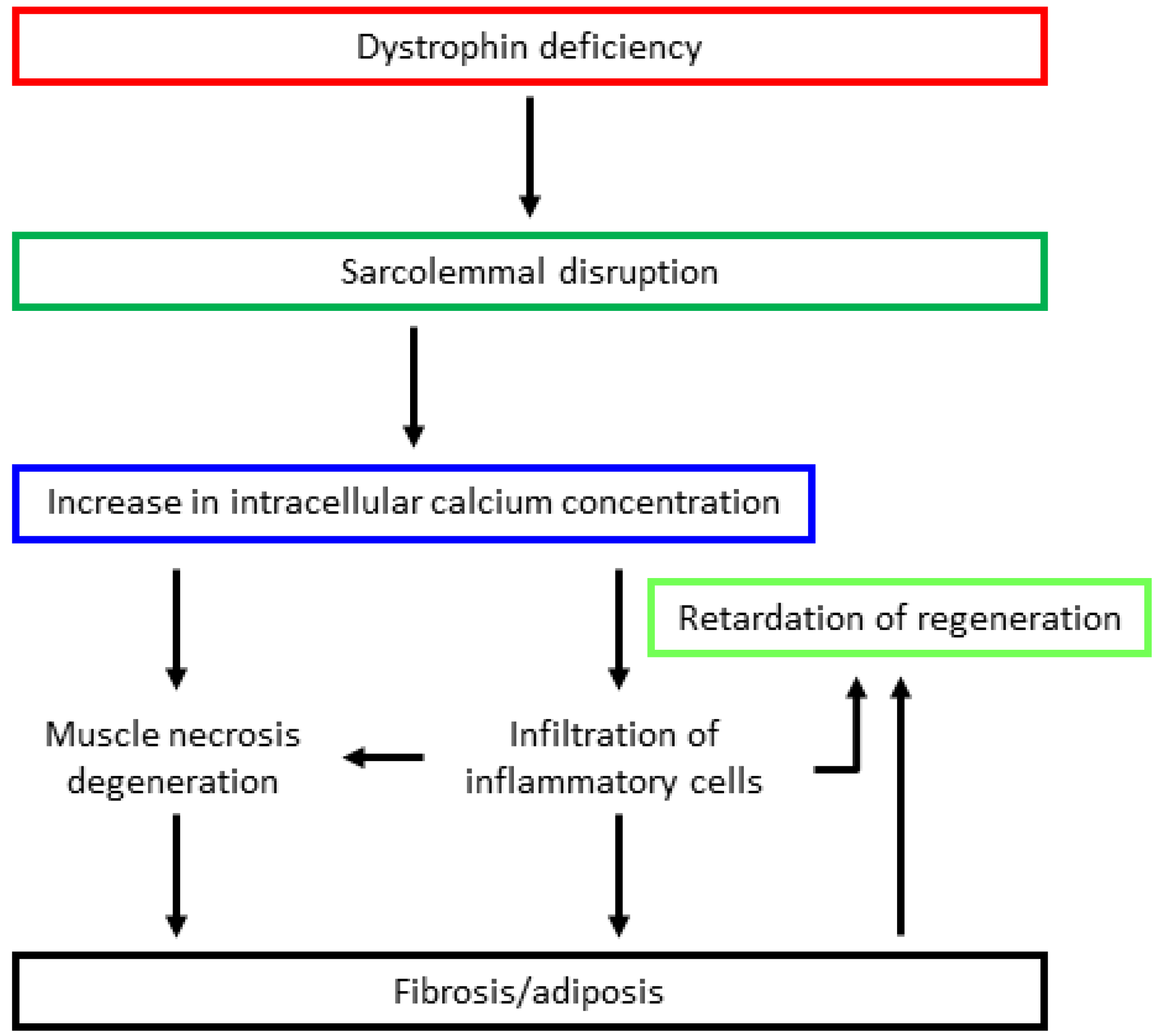 Jpm 09 00016 g001 Jpm 09 00016 g001