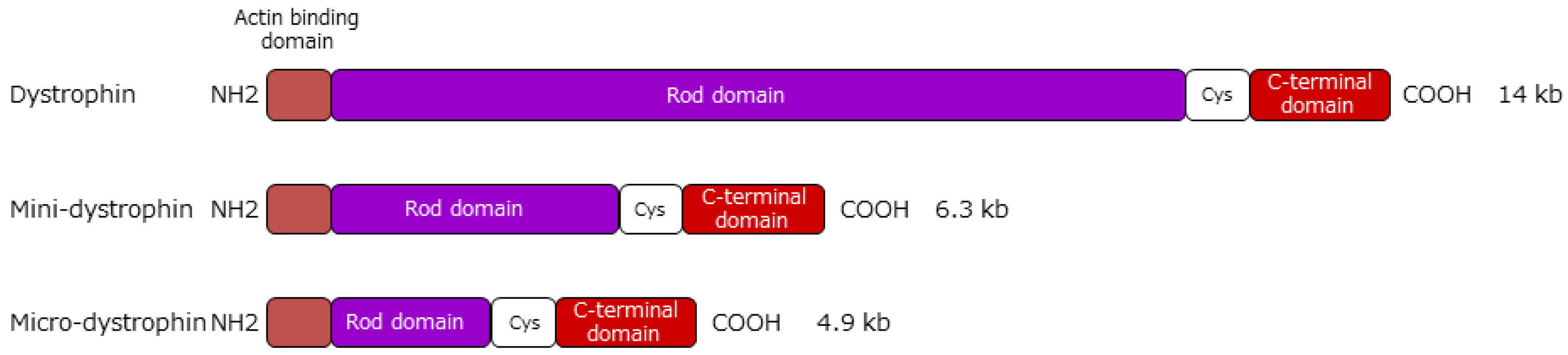 Jpm 09 00016 g002 Jpm 09 00016 g002
