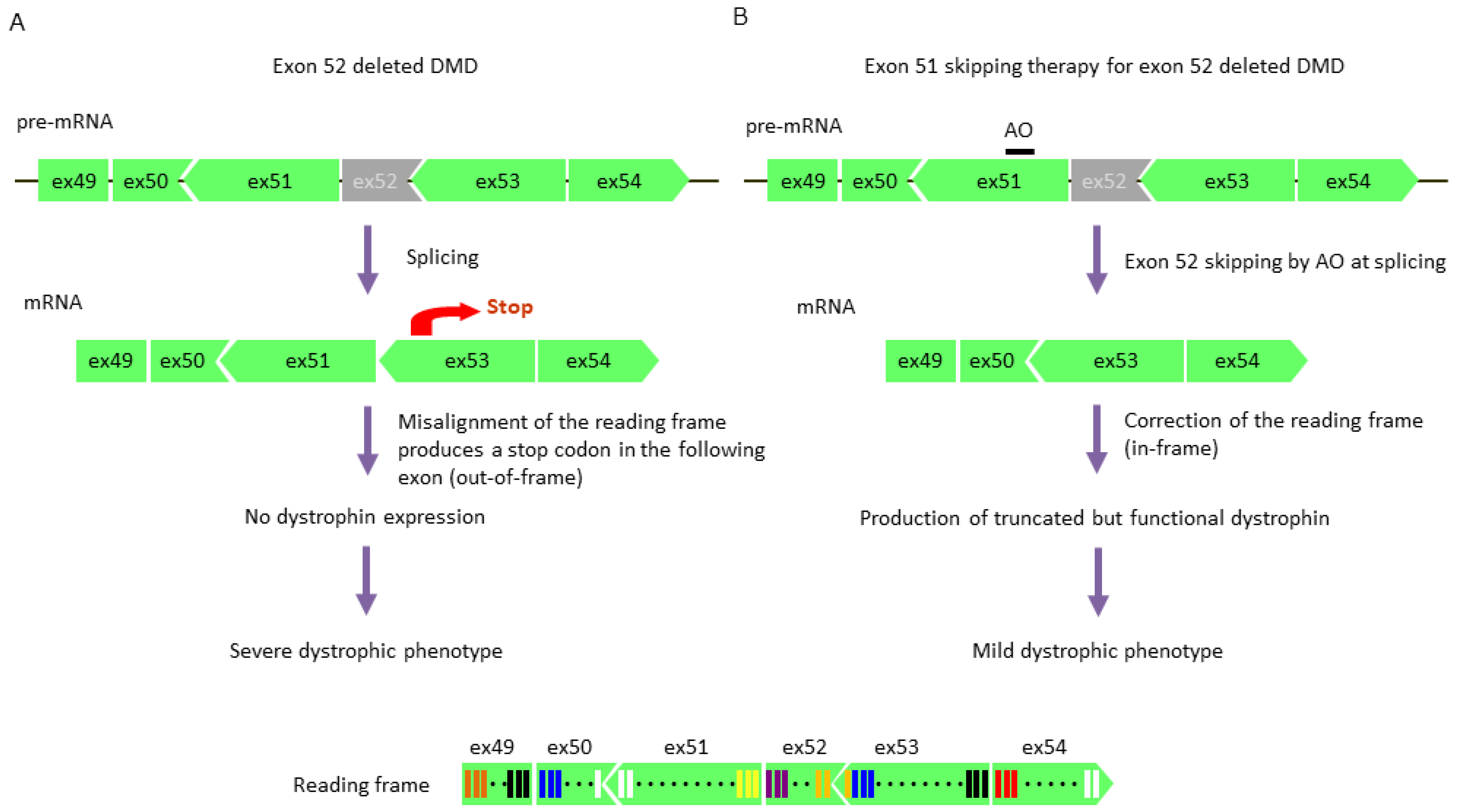 Jpm 09 00016 g003 Jpm 09 00016 g003