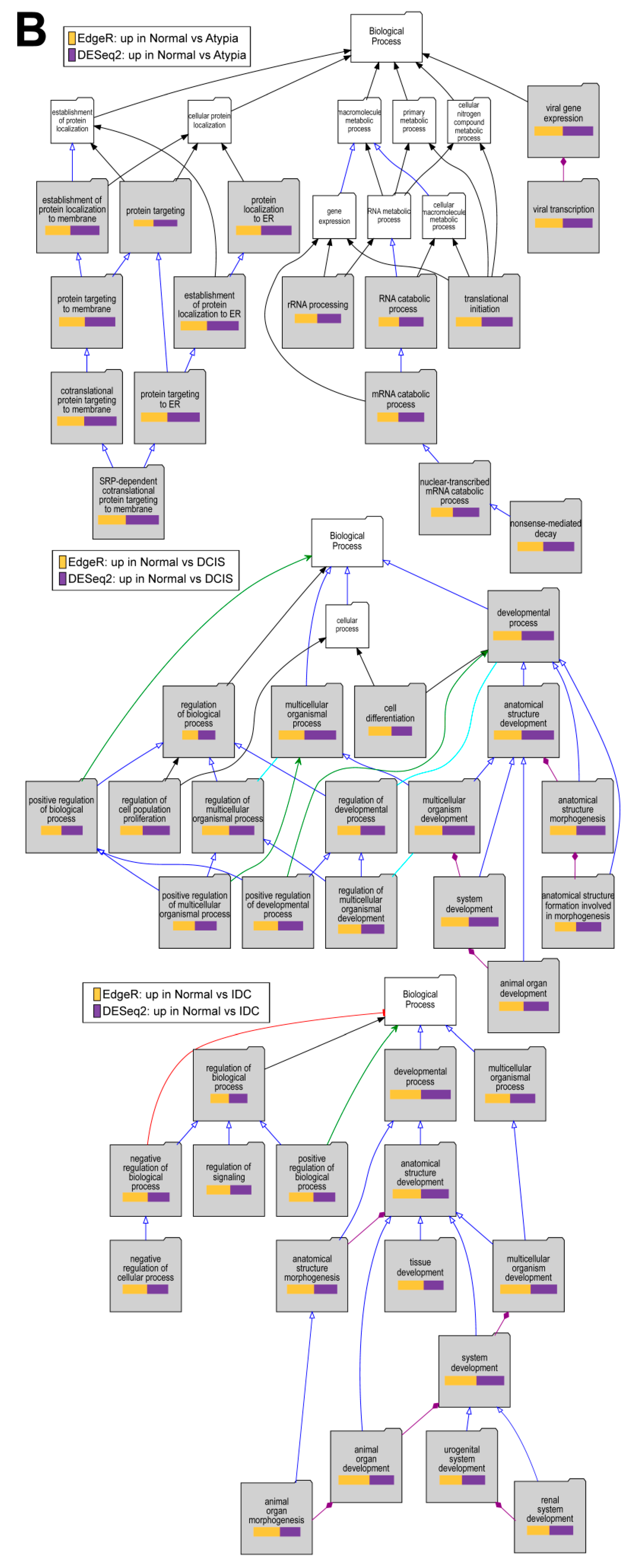 Jpm 09 00018 g010b 550