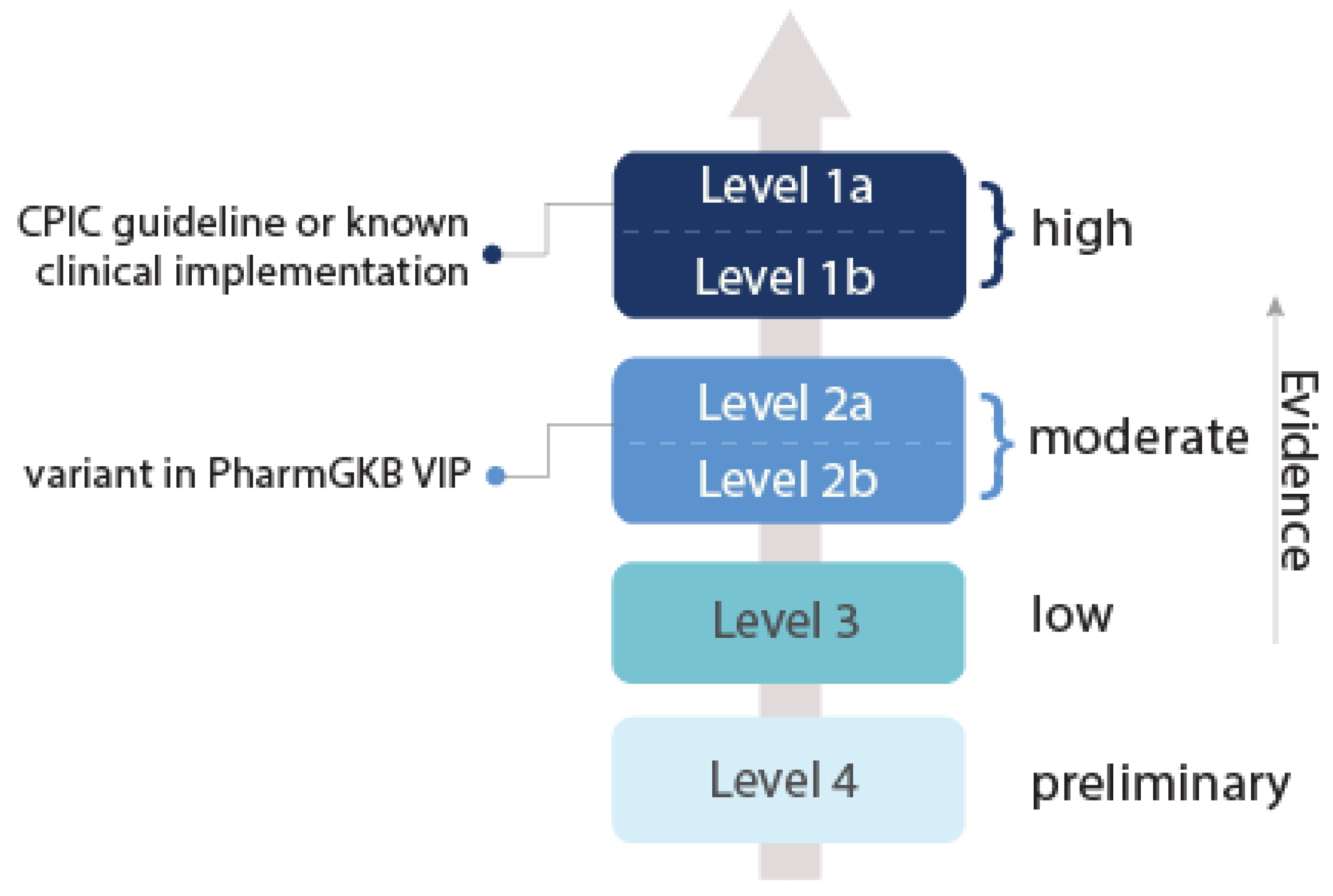 Jpm 09 00042 g008 Jpm 09 00042 g008