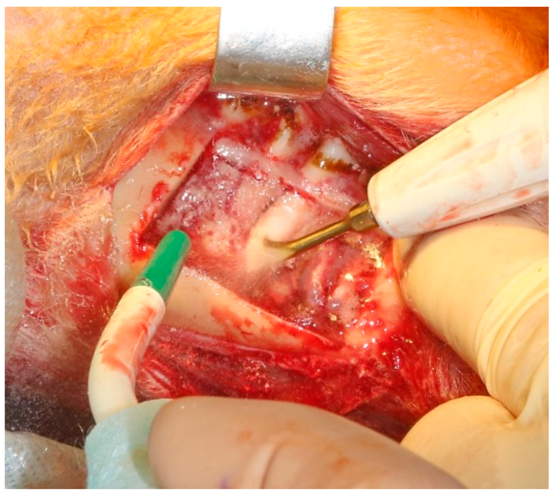 Jpm 10 00006 g003 550