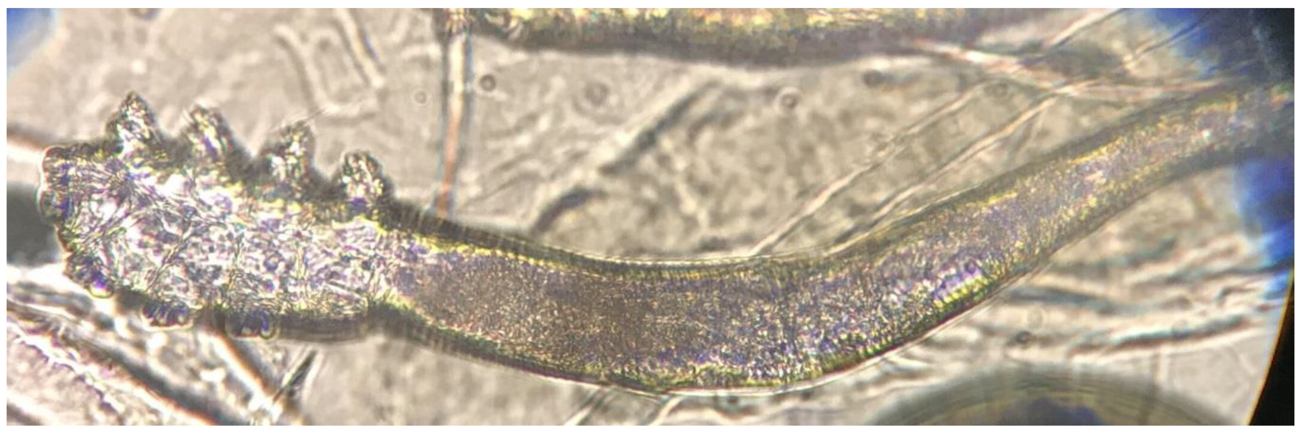 Jpm 10 00039 g002 Jpm 10 00039 g002