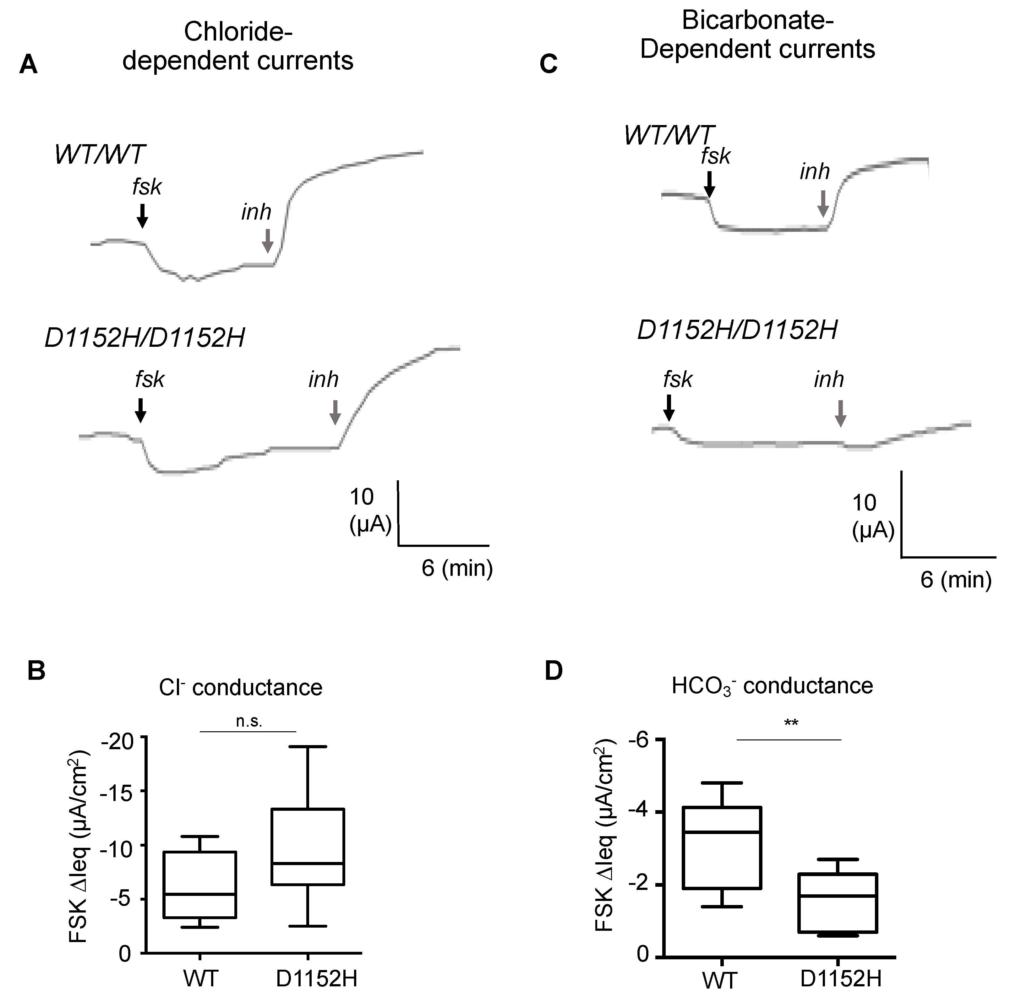 Jpm 10 00040 g003 Jpm 10 00040 g003