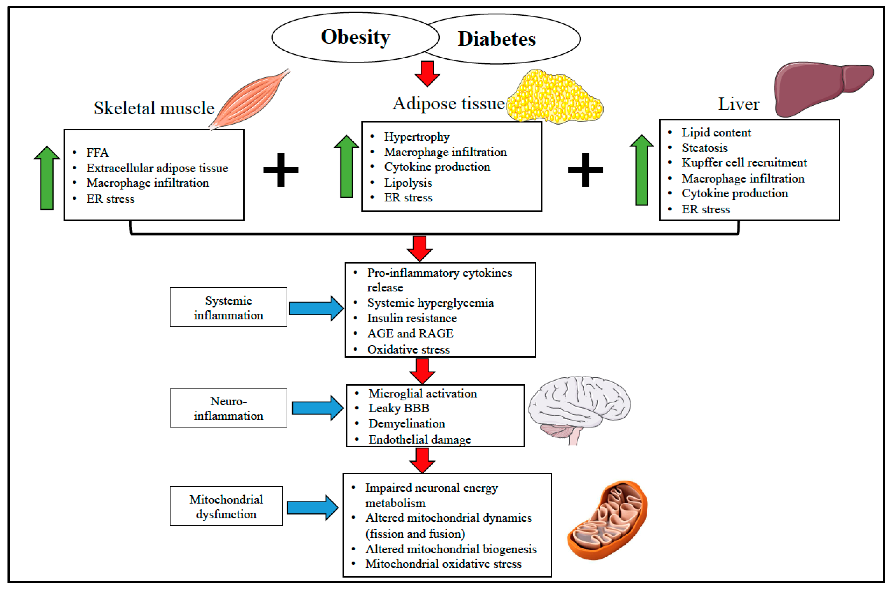 Jpm 10 00042 g001 Jpm 10 00042 g001