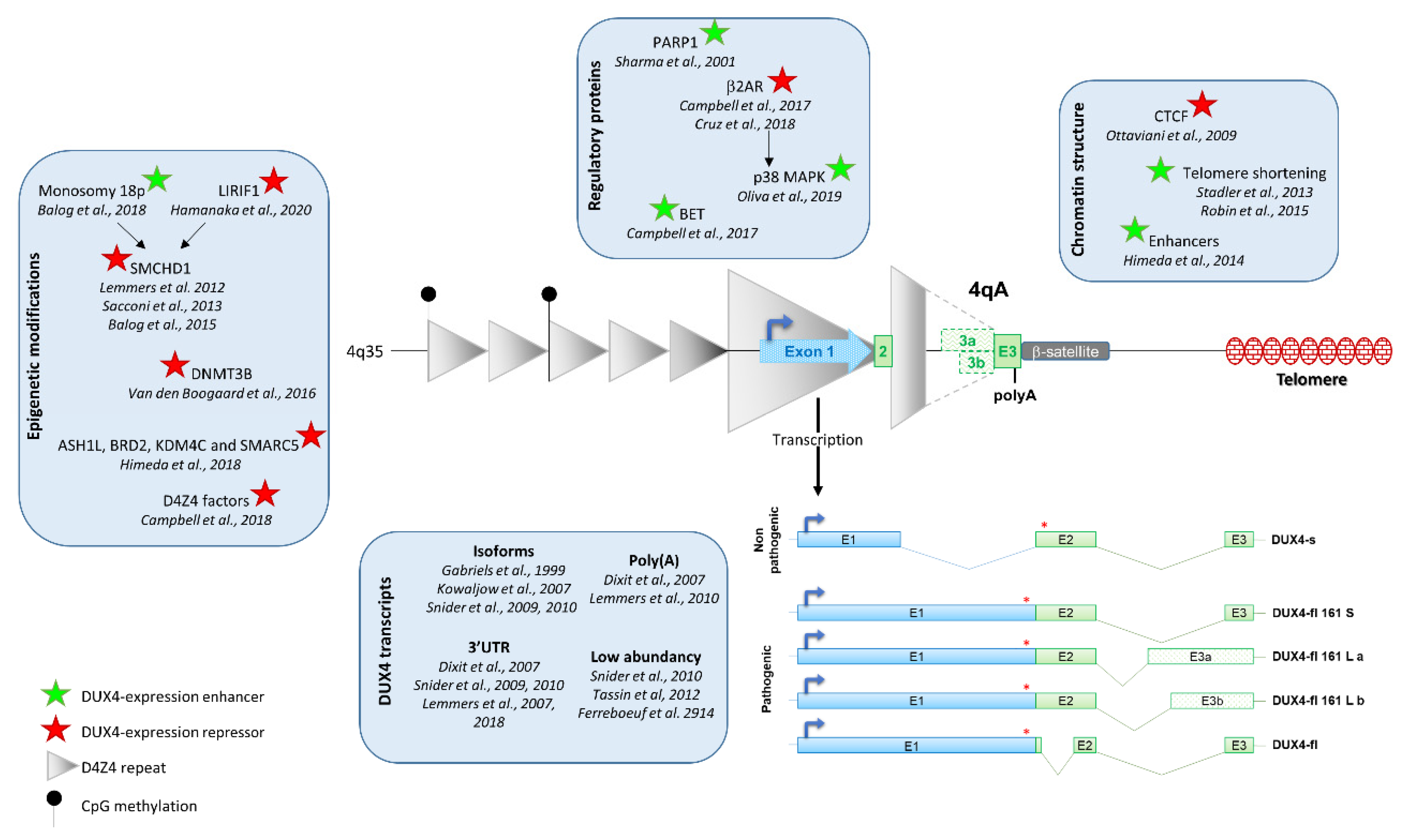 Jpm 10 00073 g001 Jpm 10 00073 g001