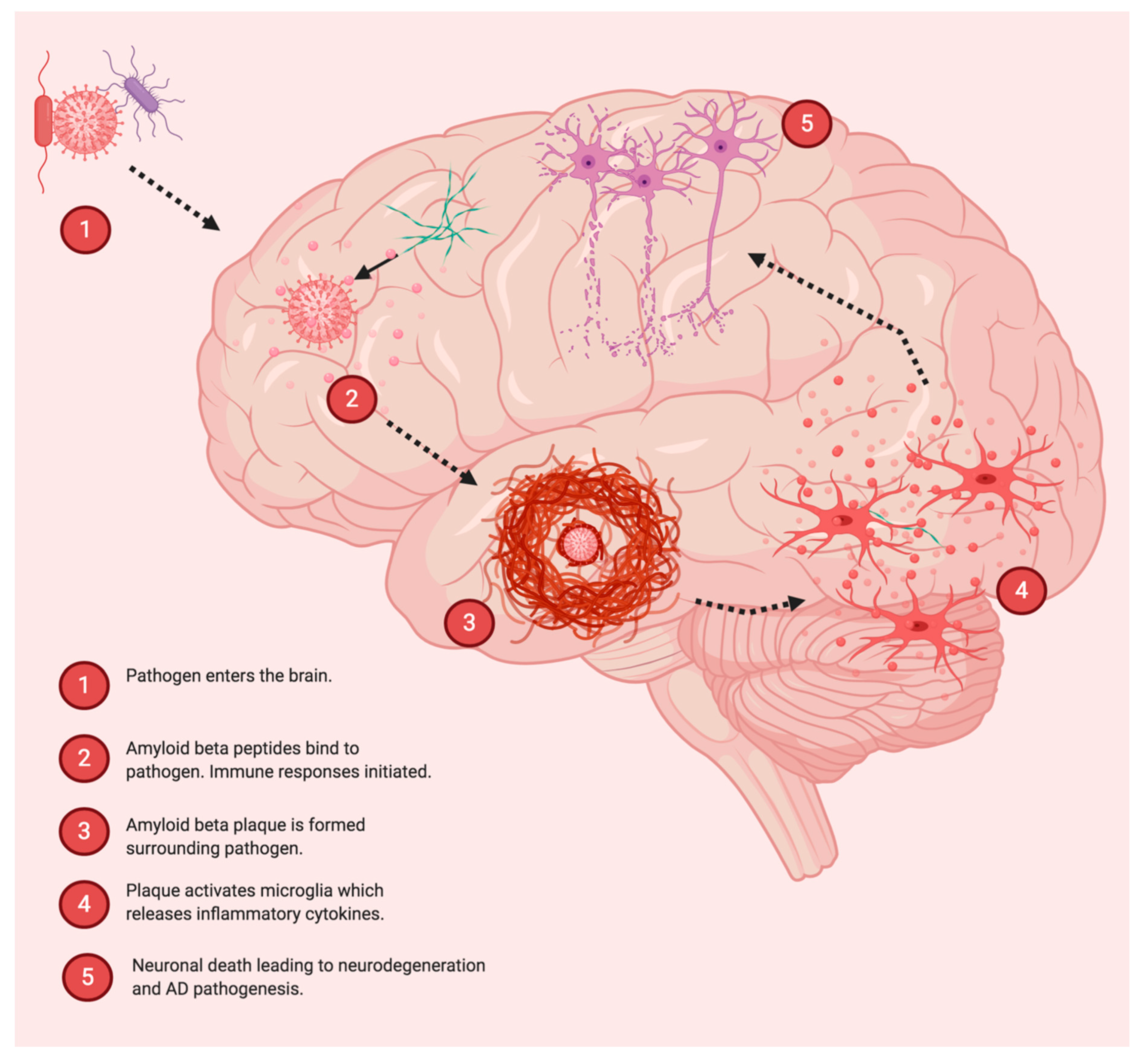 Jpm 10 00074 g001 Jpm 10 00074 g001