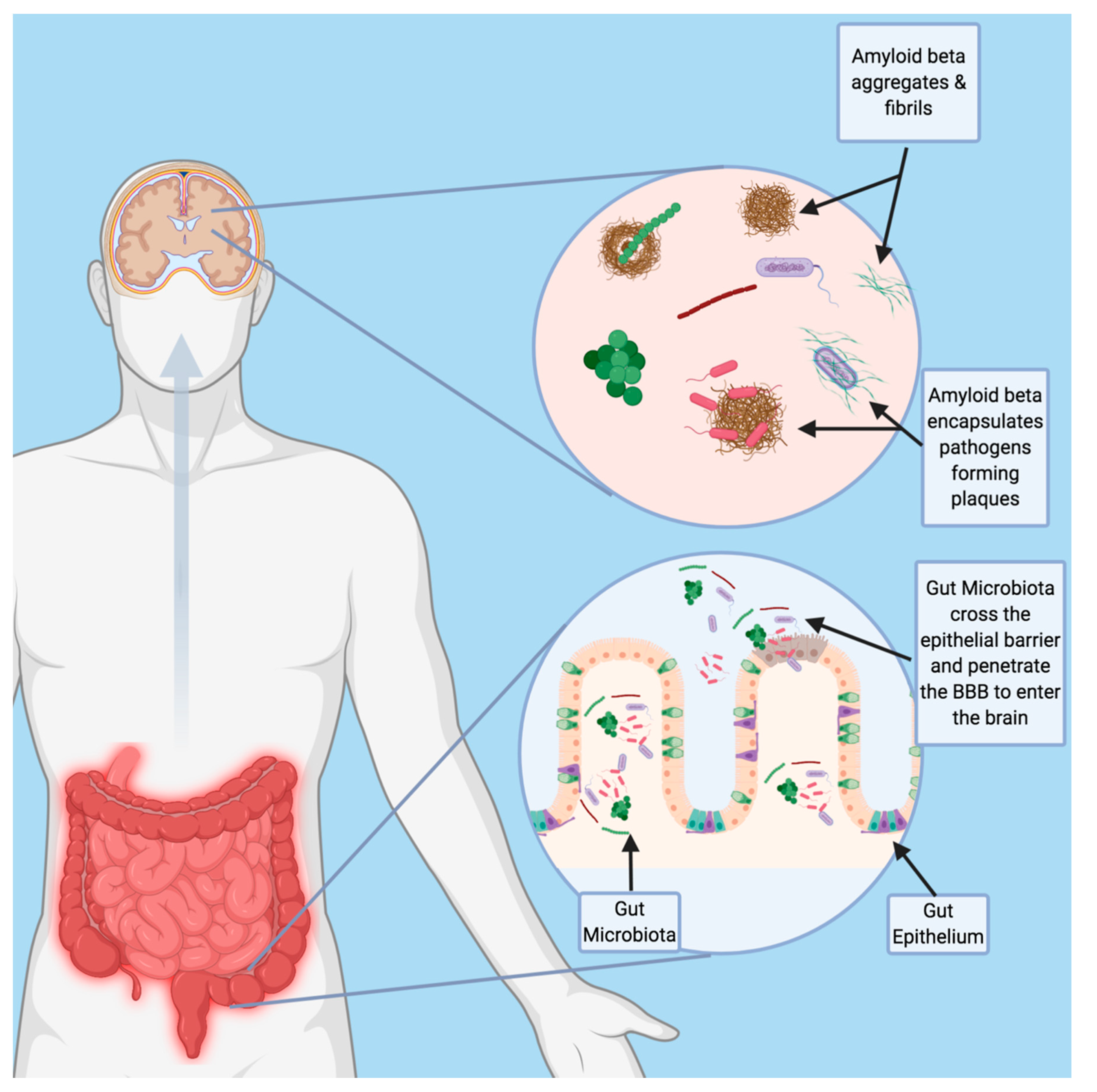 Jpm 10 00074 g002 Jpm 10 00074 g002