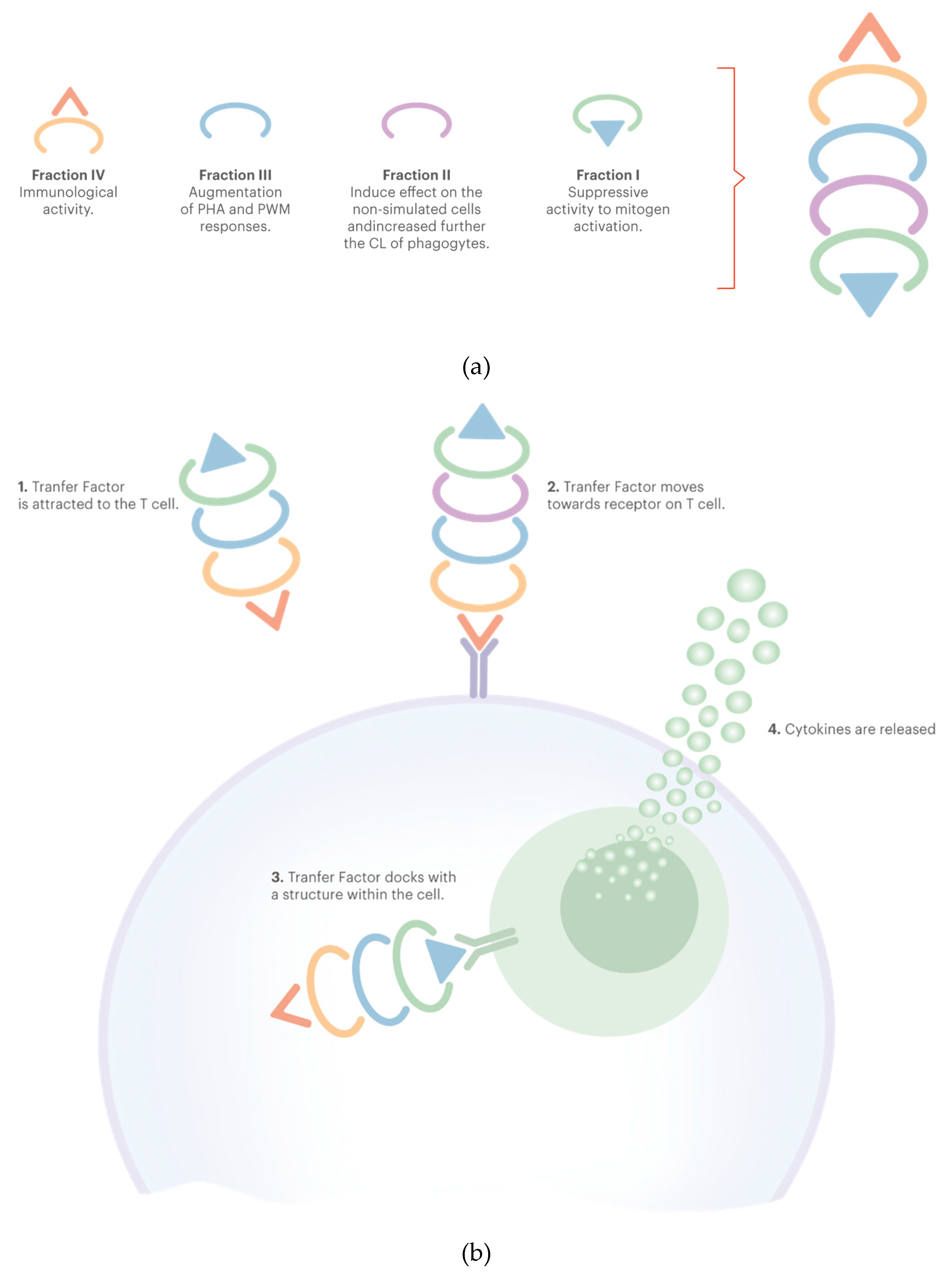 Jpm 10 00080 g002 Jpm 10 00080 g002