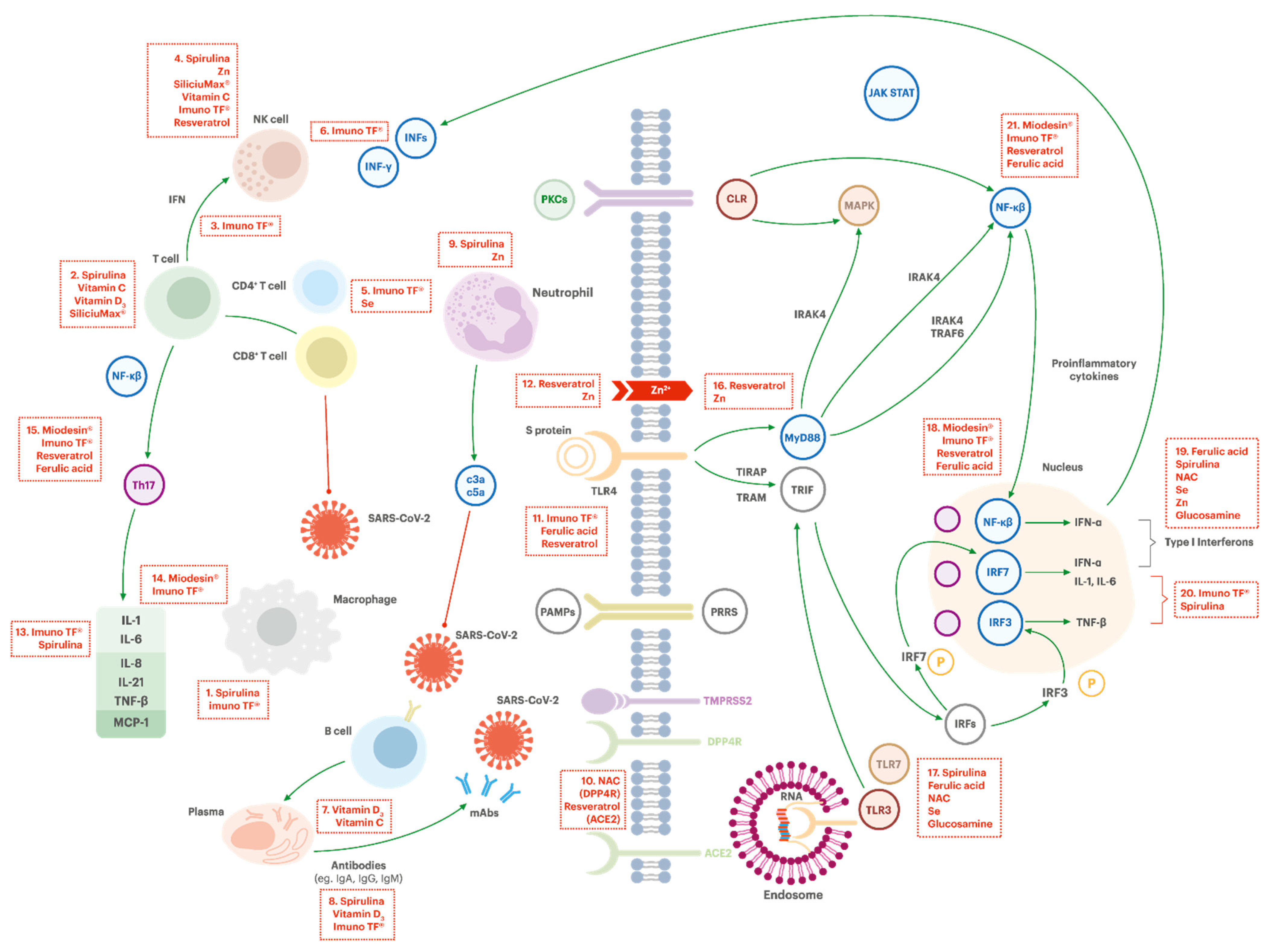 Jpm 10 00080 g003 Jpm 10 00080 g003