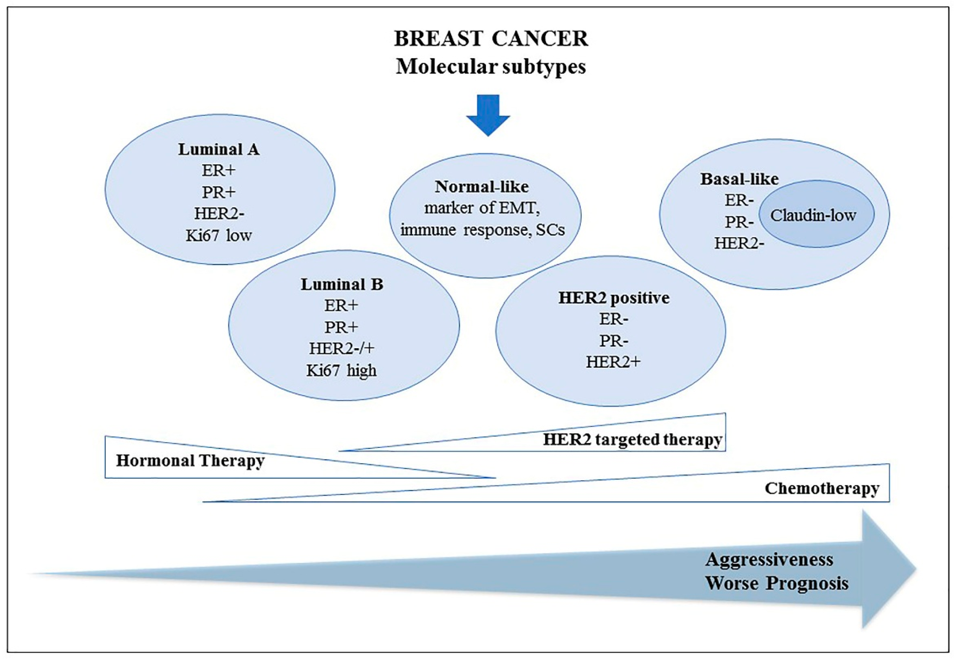 Jpm 10 00098 g001 Jpm 10 00098 g001