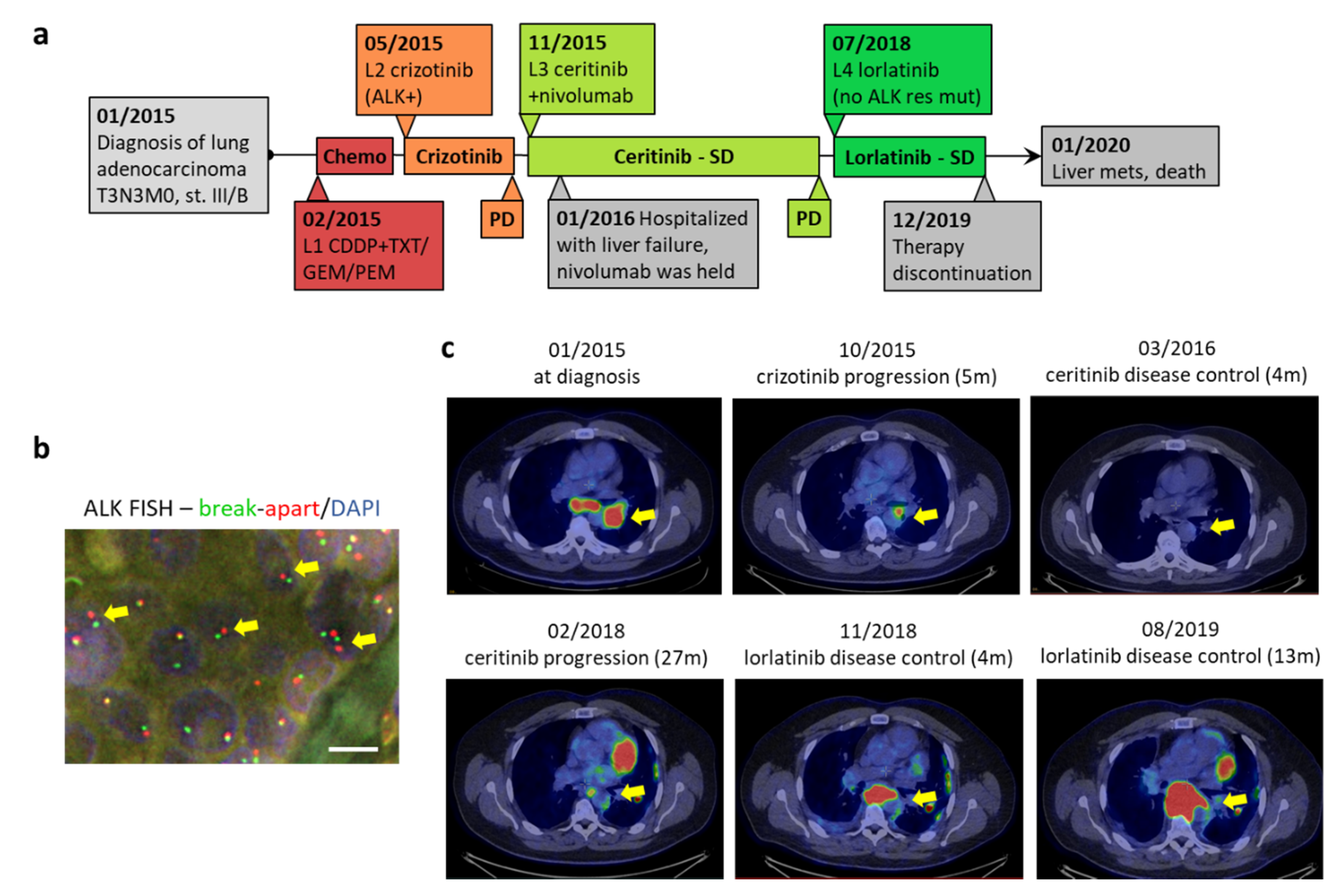 Jpm 10 00107 g001 Jpm 10 00107 g001