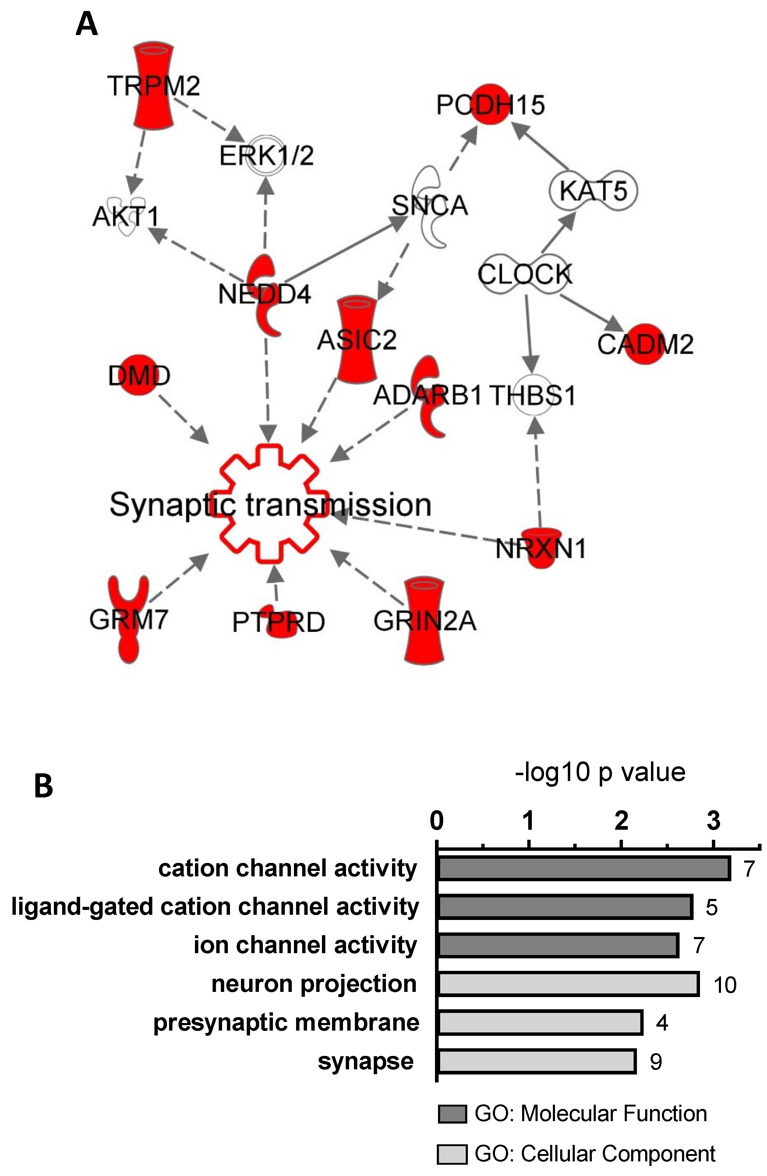 Jpm 10 00160 g002 Jpm 10 00160 g002