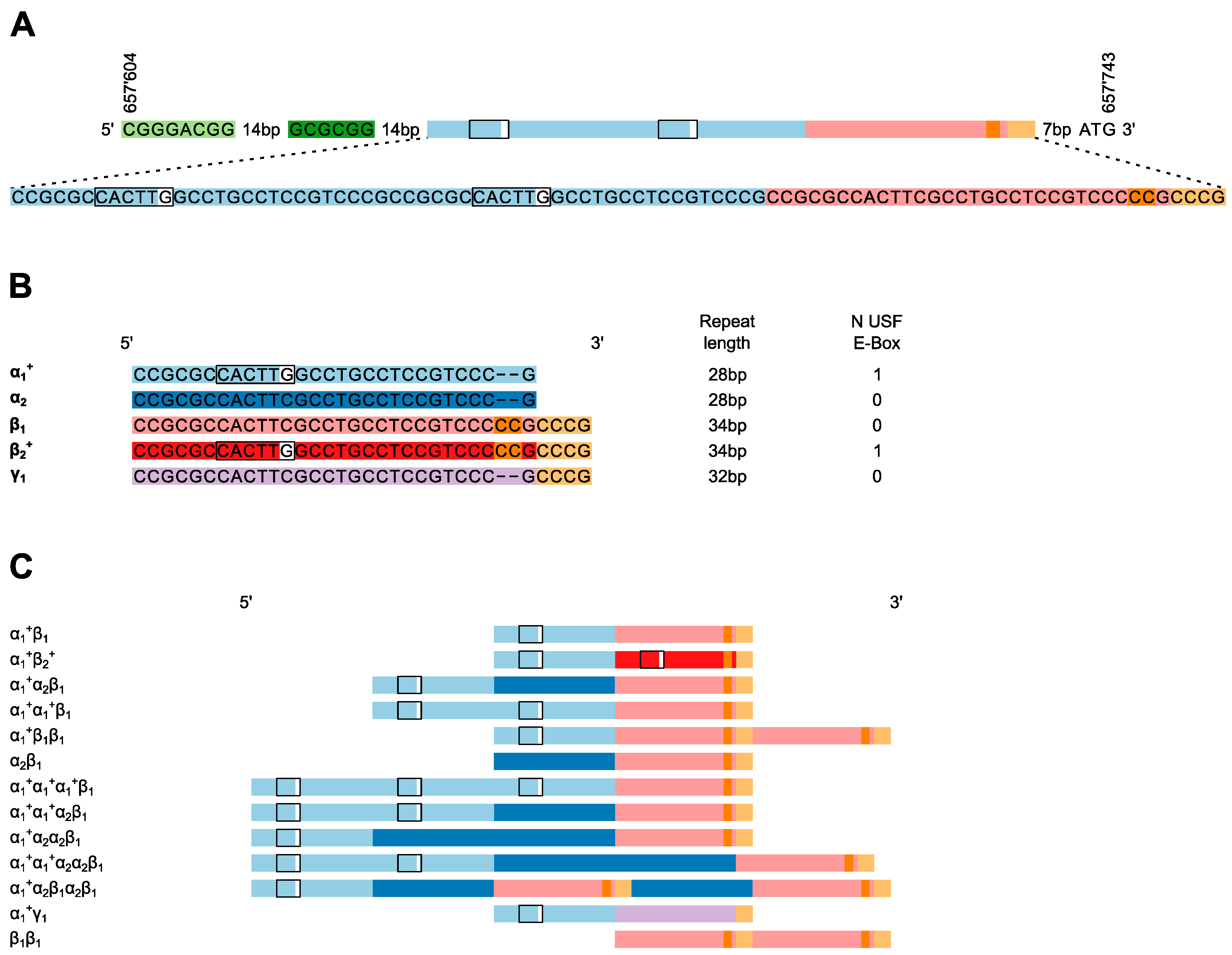 Jpm 10 00181 g001 Jpm 10 00181 g001