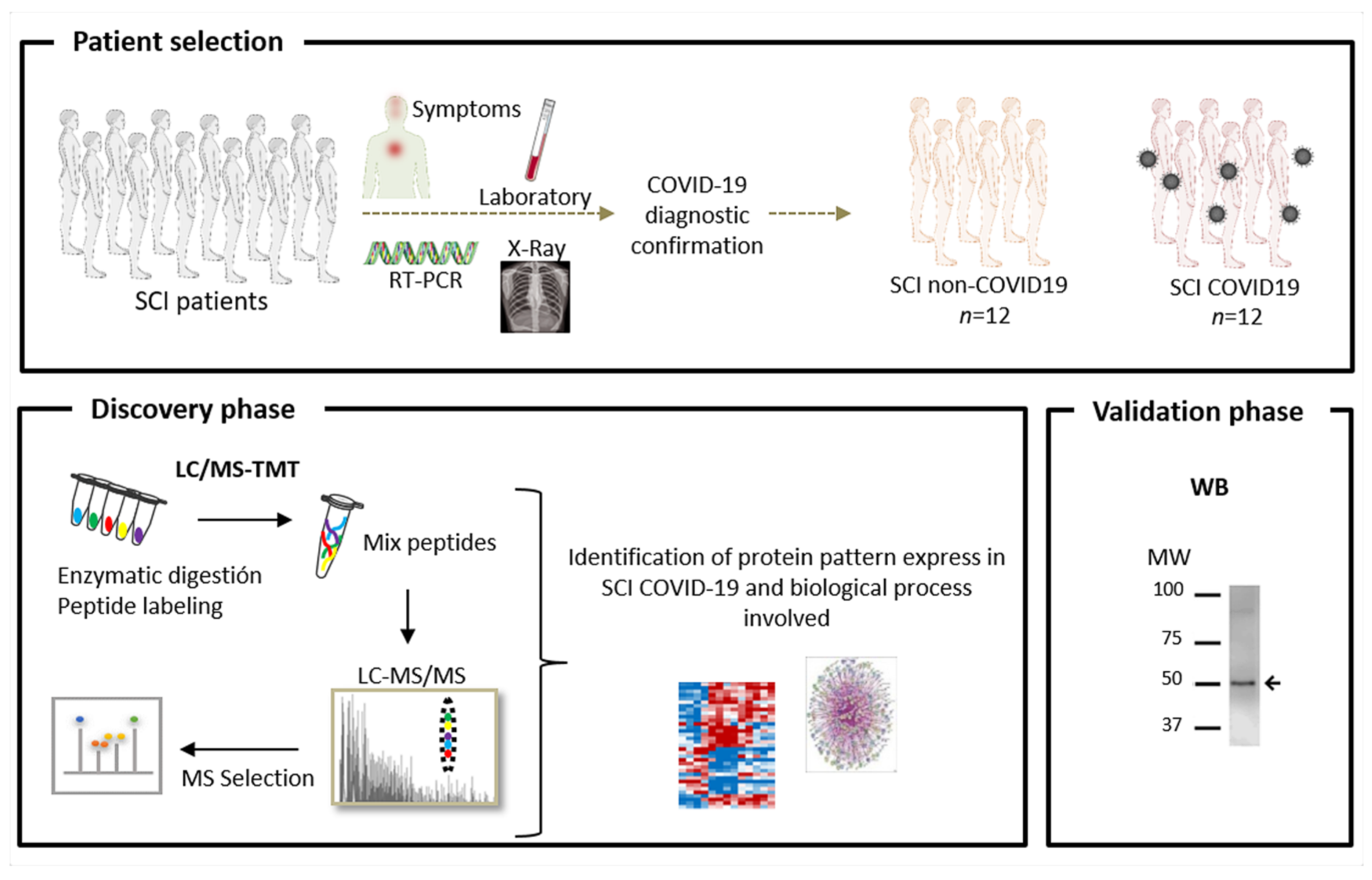 Jpm 10 00182 g001 Jpm 10 00182 g001