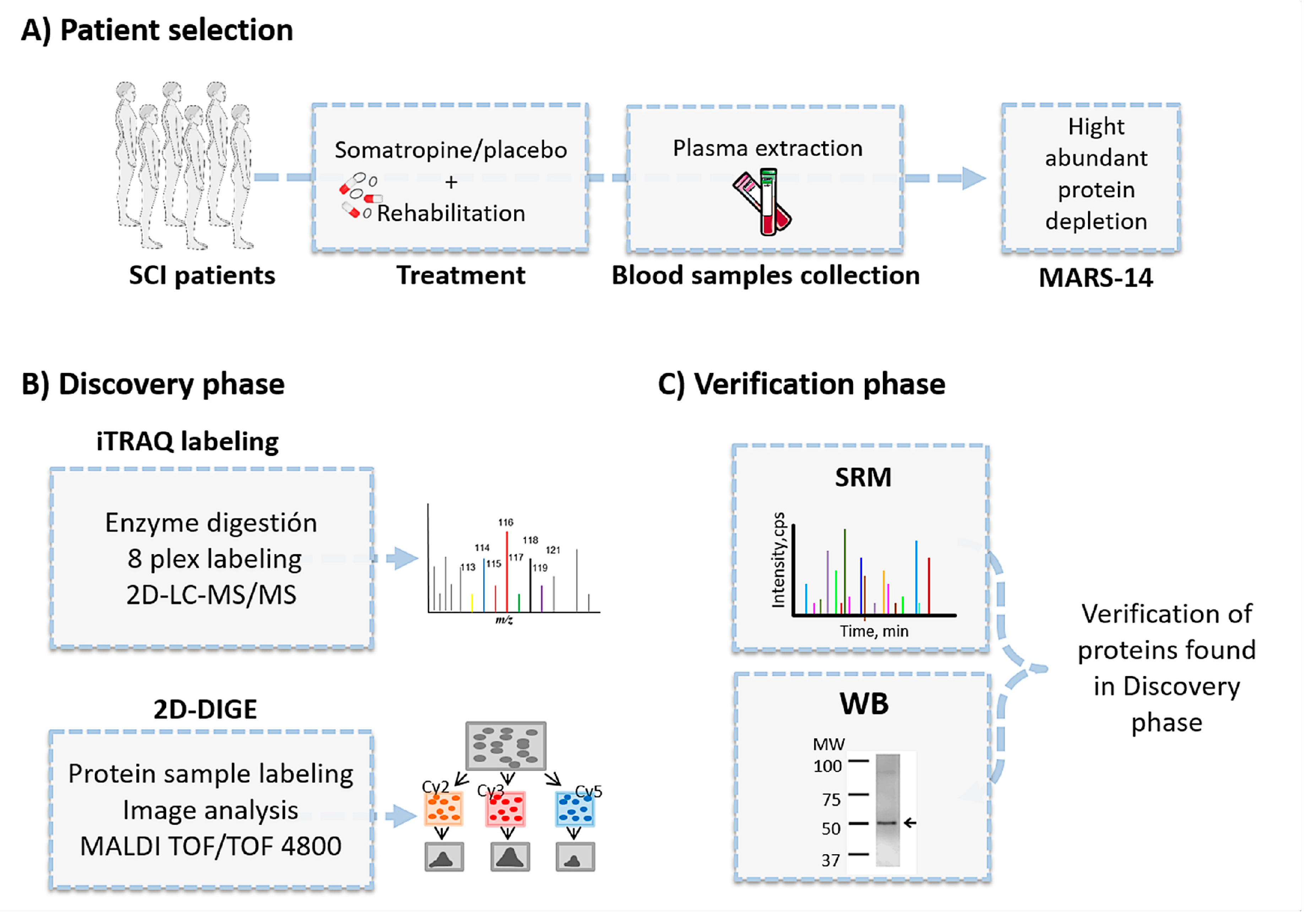 Jpm 10 00183 g001 Jpm 10 00183 g001