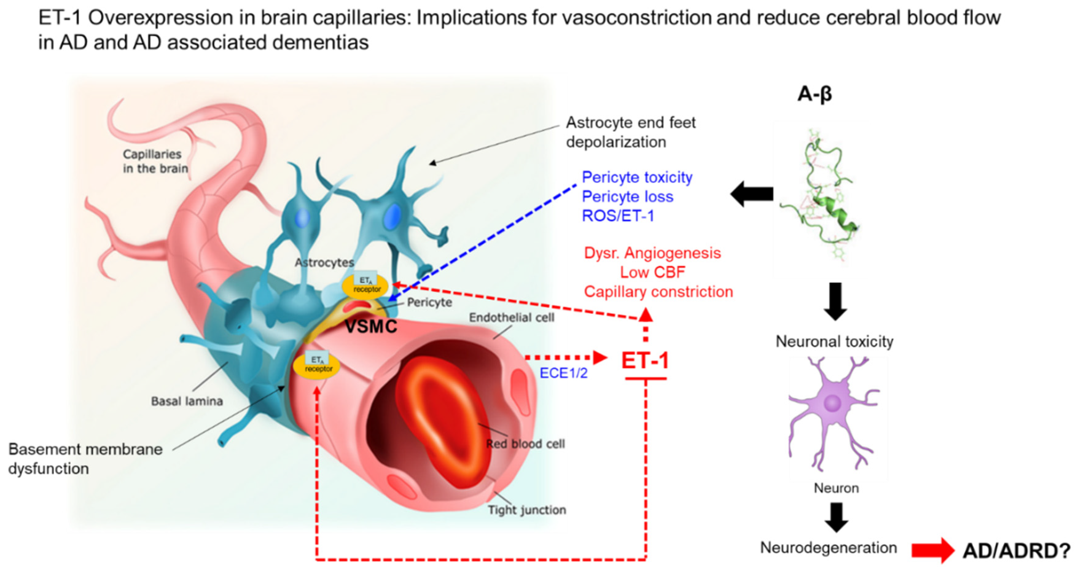 Jpm 10 00199 g002 Jpm 10 00199 g002